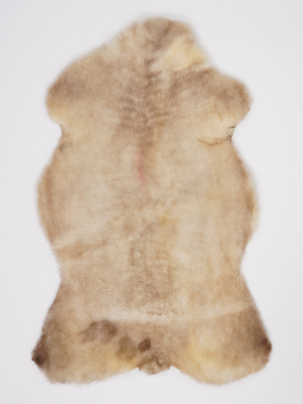 B klasės Vícebarevná ovčí kůže L