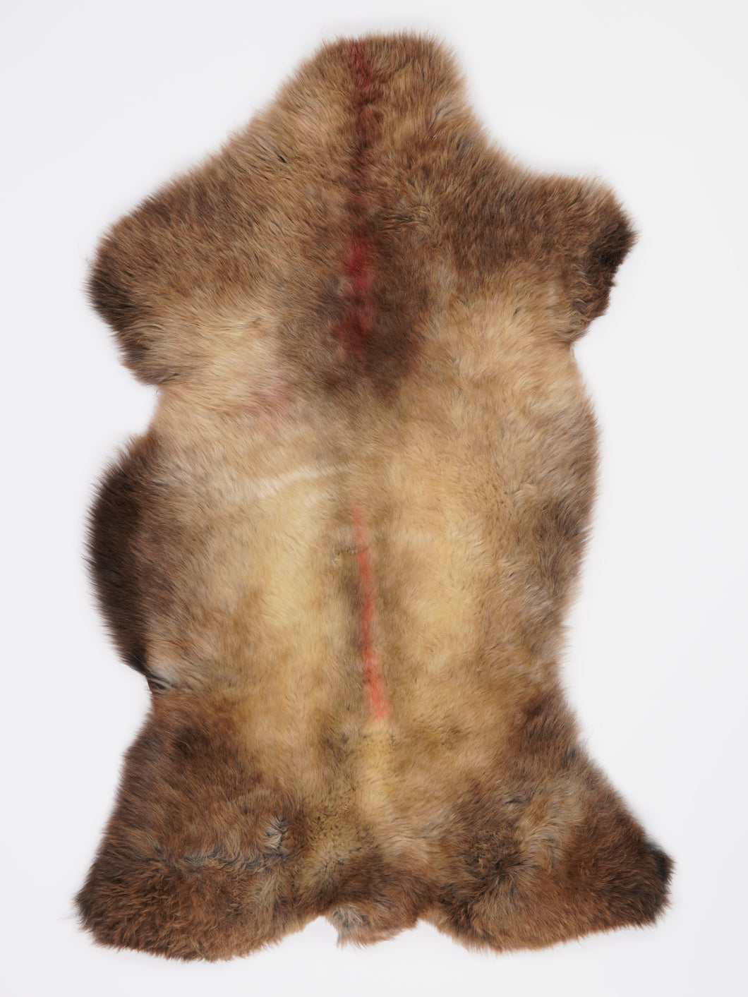 B klasės Įvairiaspalvis avikailis L