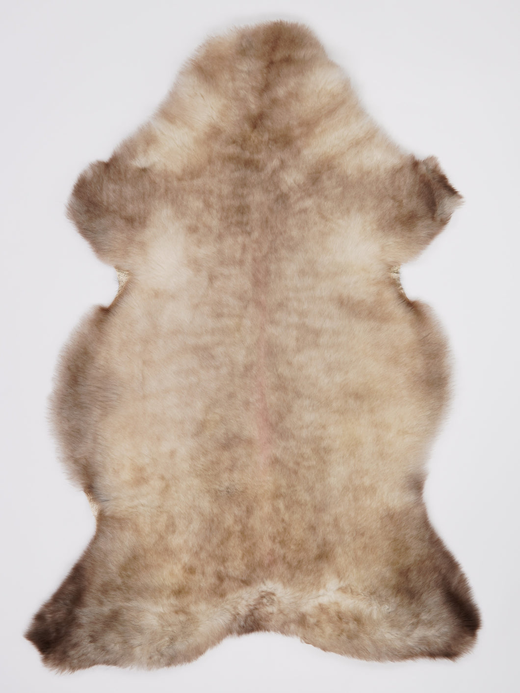 B klasės Įvairiaspalvis avikailis XL