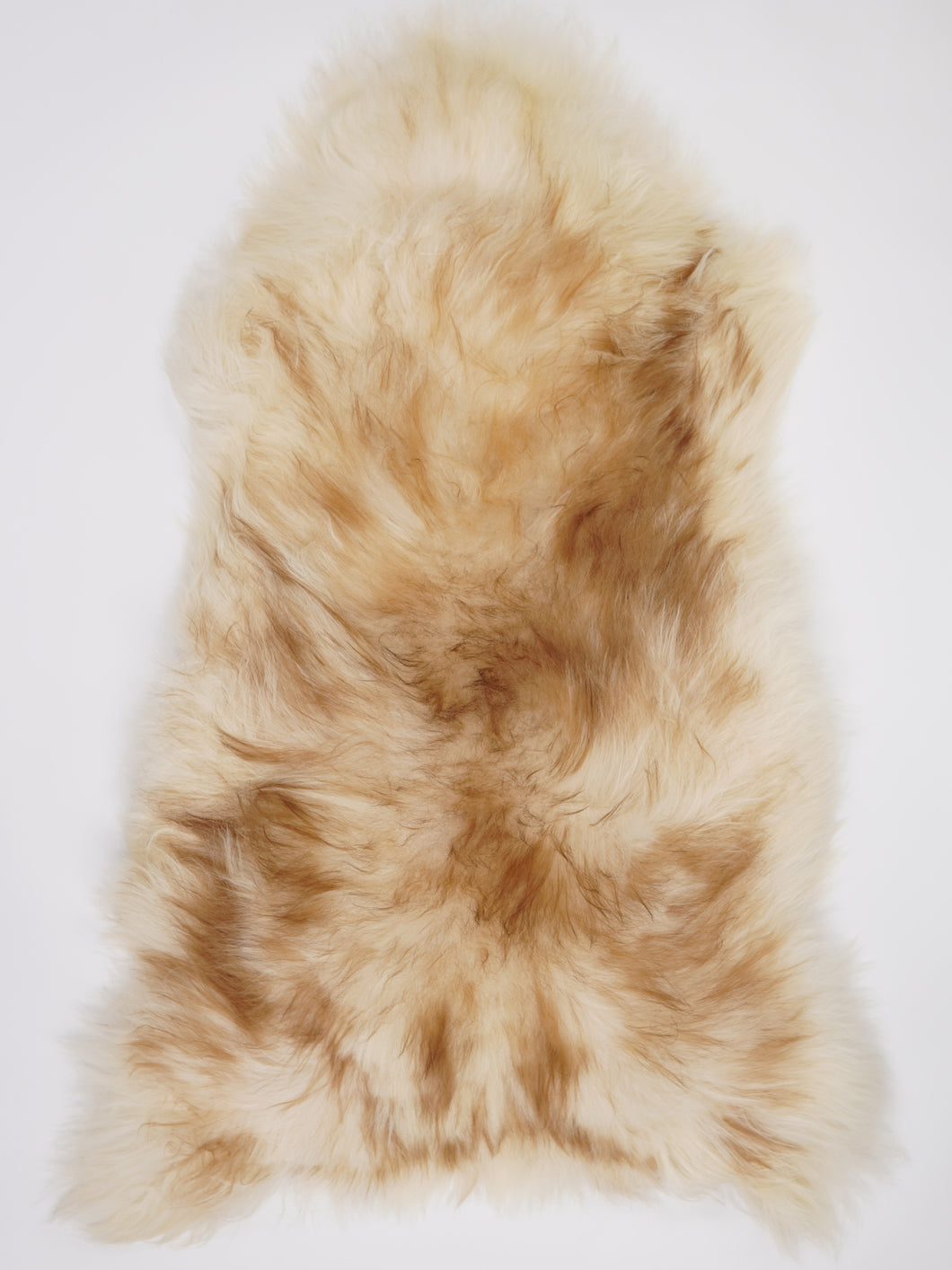 Islandská ovčí kůže XXXL