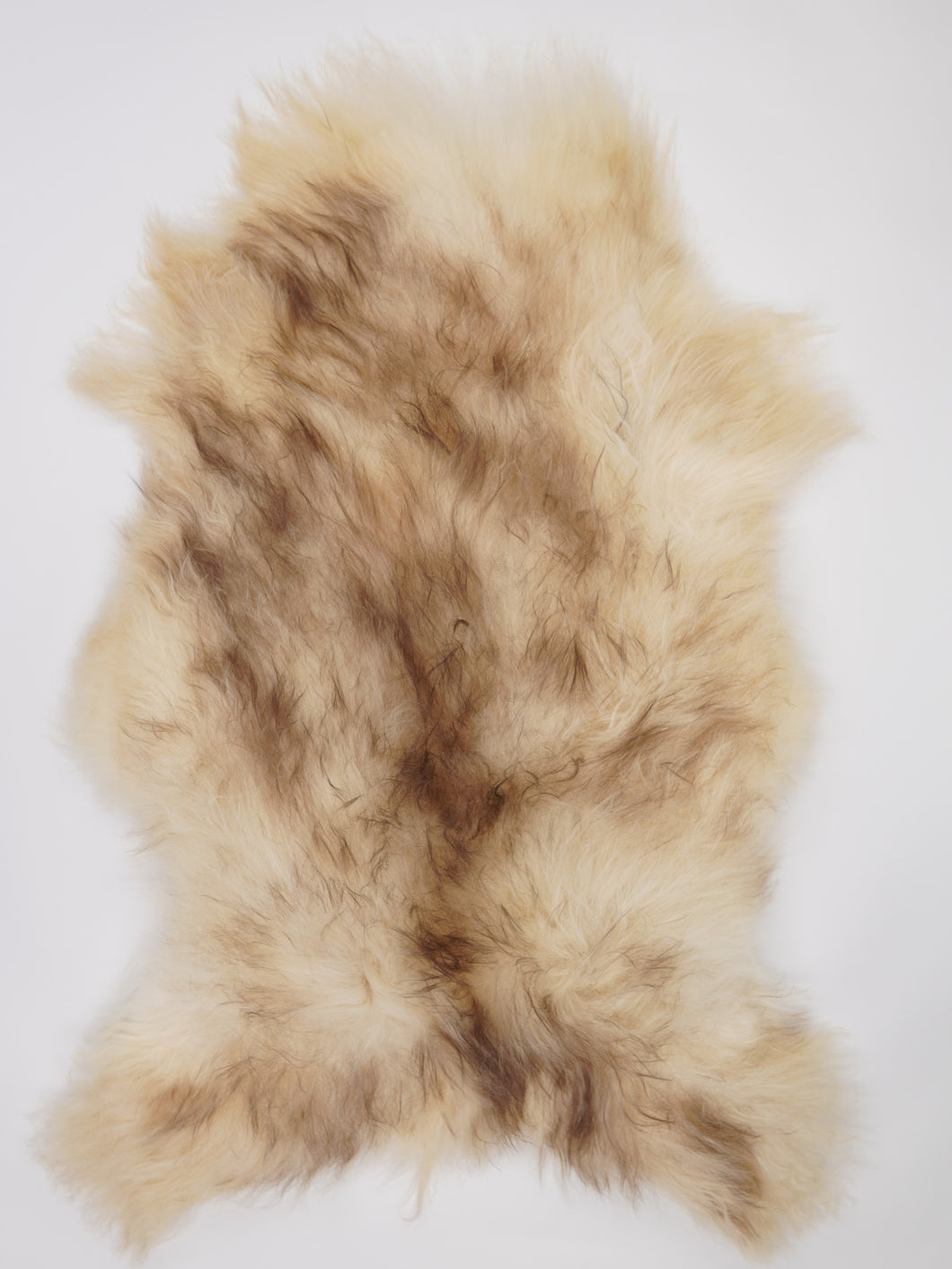 Islandská ovčí kůže XXL