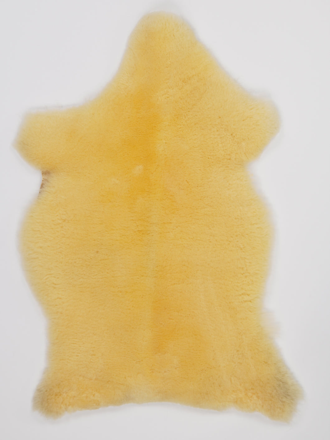 Medicininis avikailis S (itin trumpi plaukai)