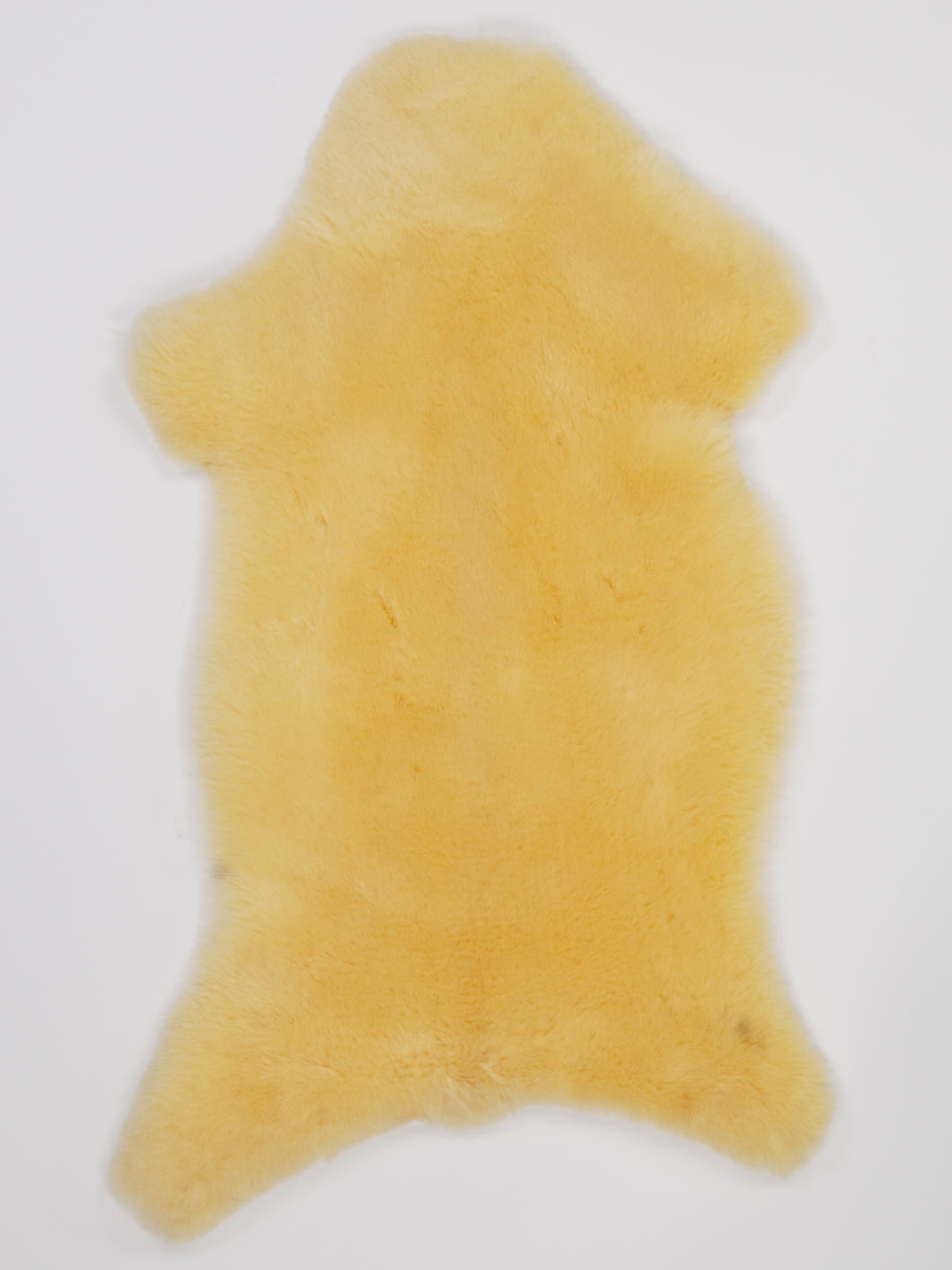 Medicininis avikailis M (itin trumpi plaukai)