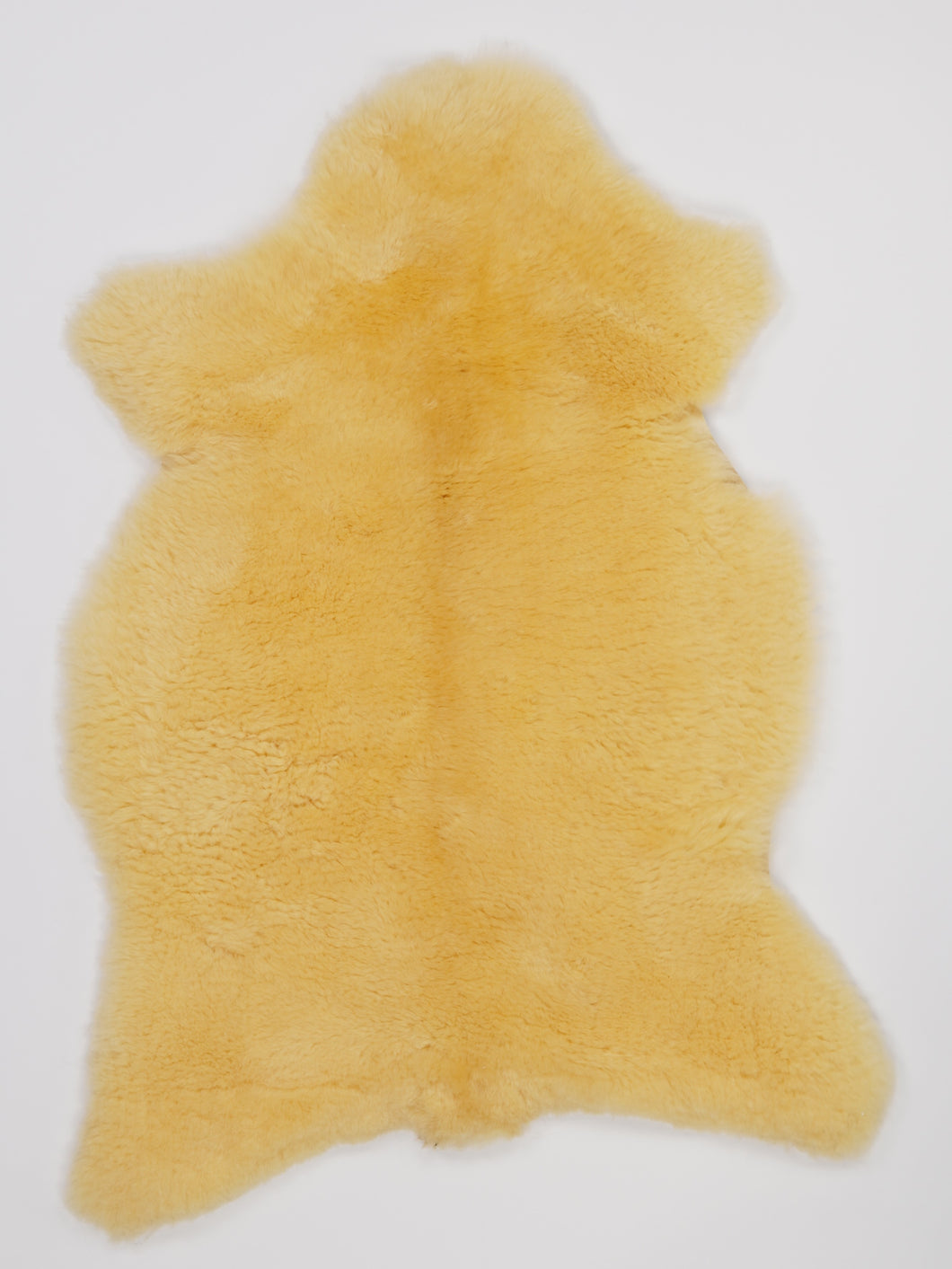 Medicininis avikailis M (itin trumpi plaukai)