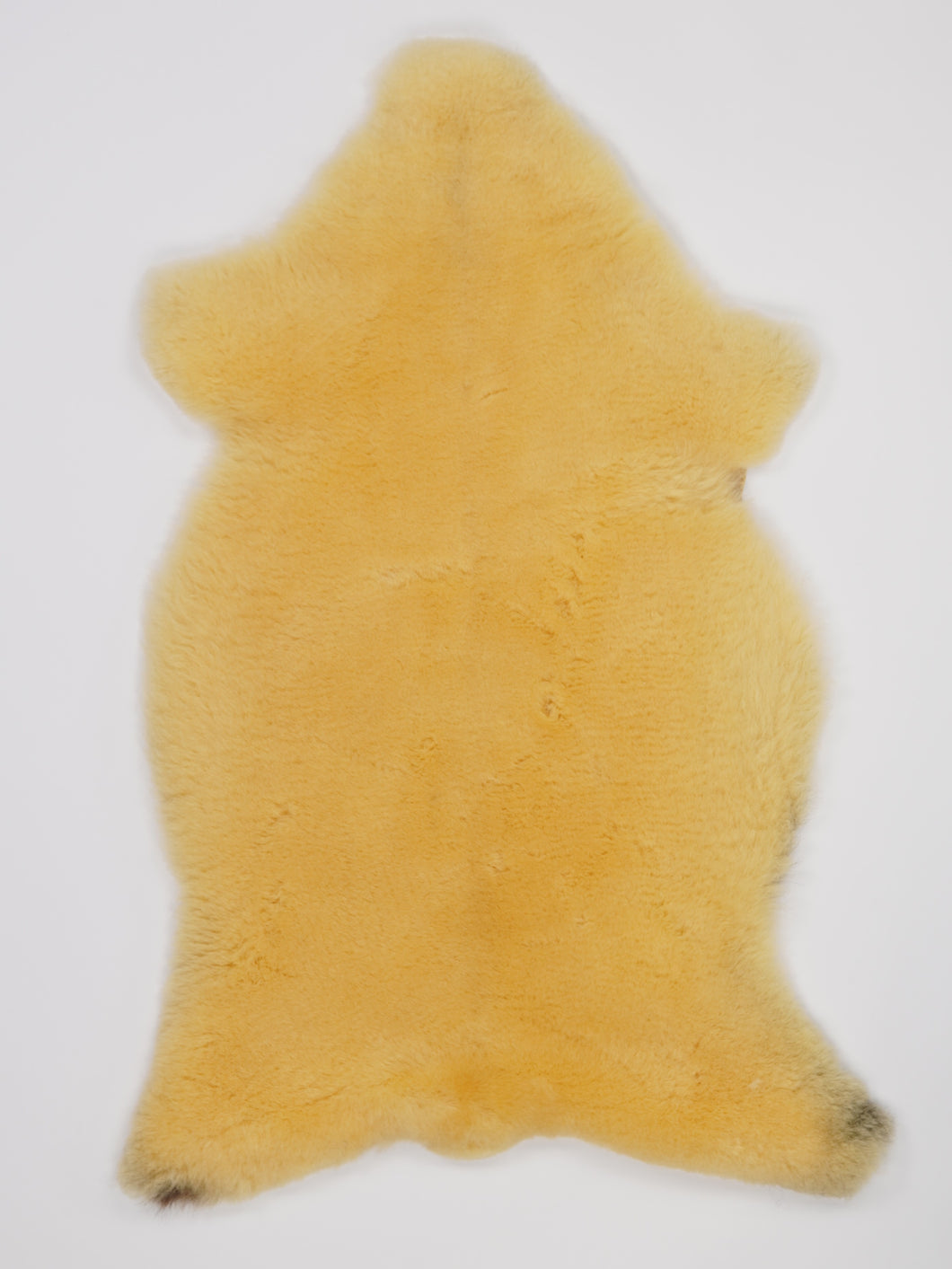 Medicininis avikailis L (itin trumpi plaukai)