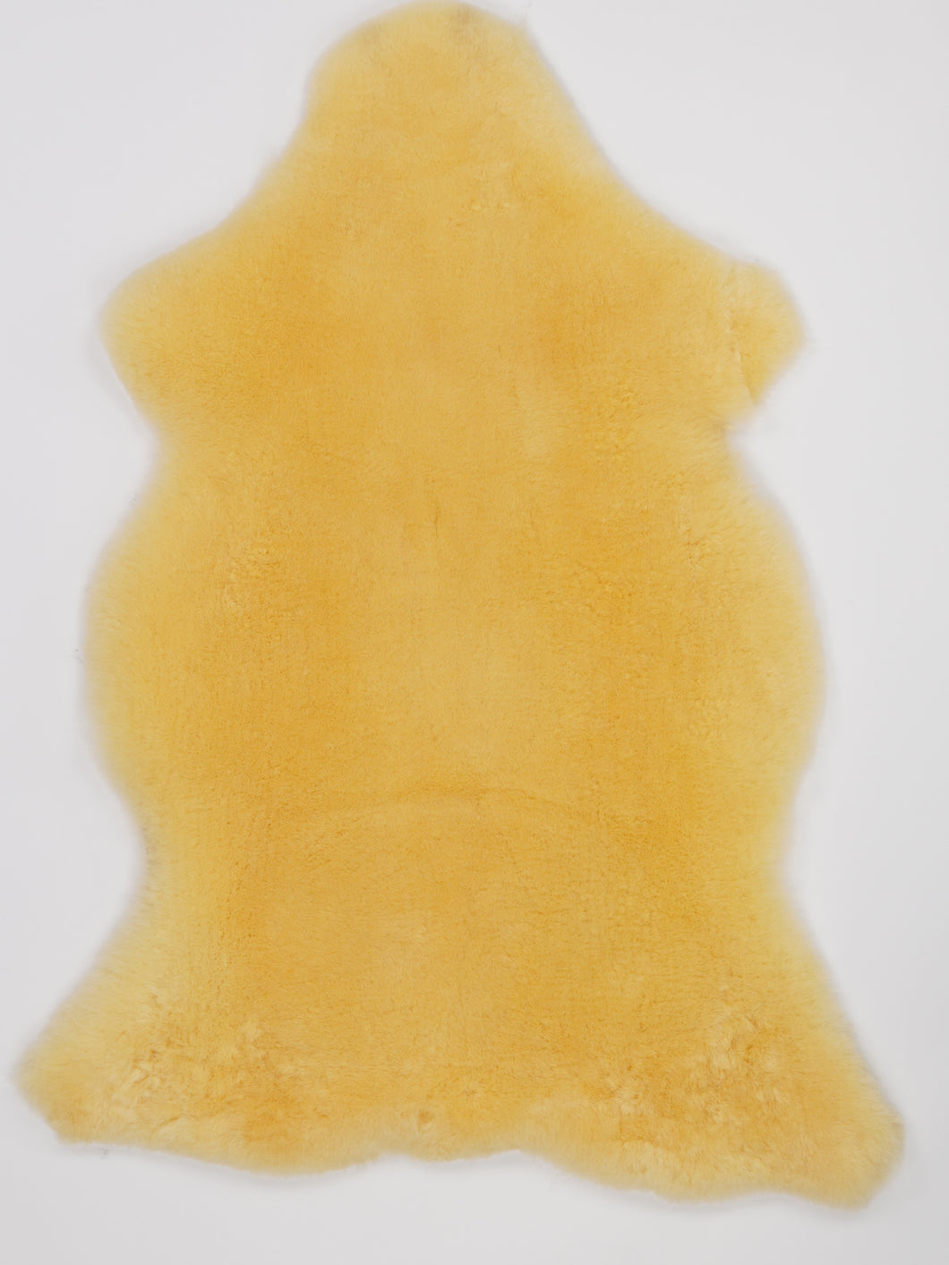 Medicininis avikailis L (itin trumpi plaukai)