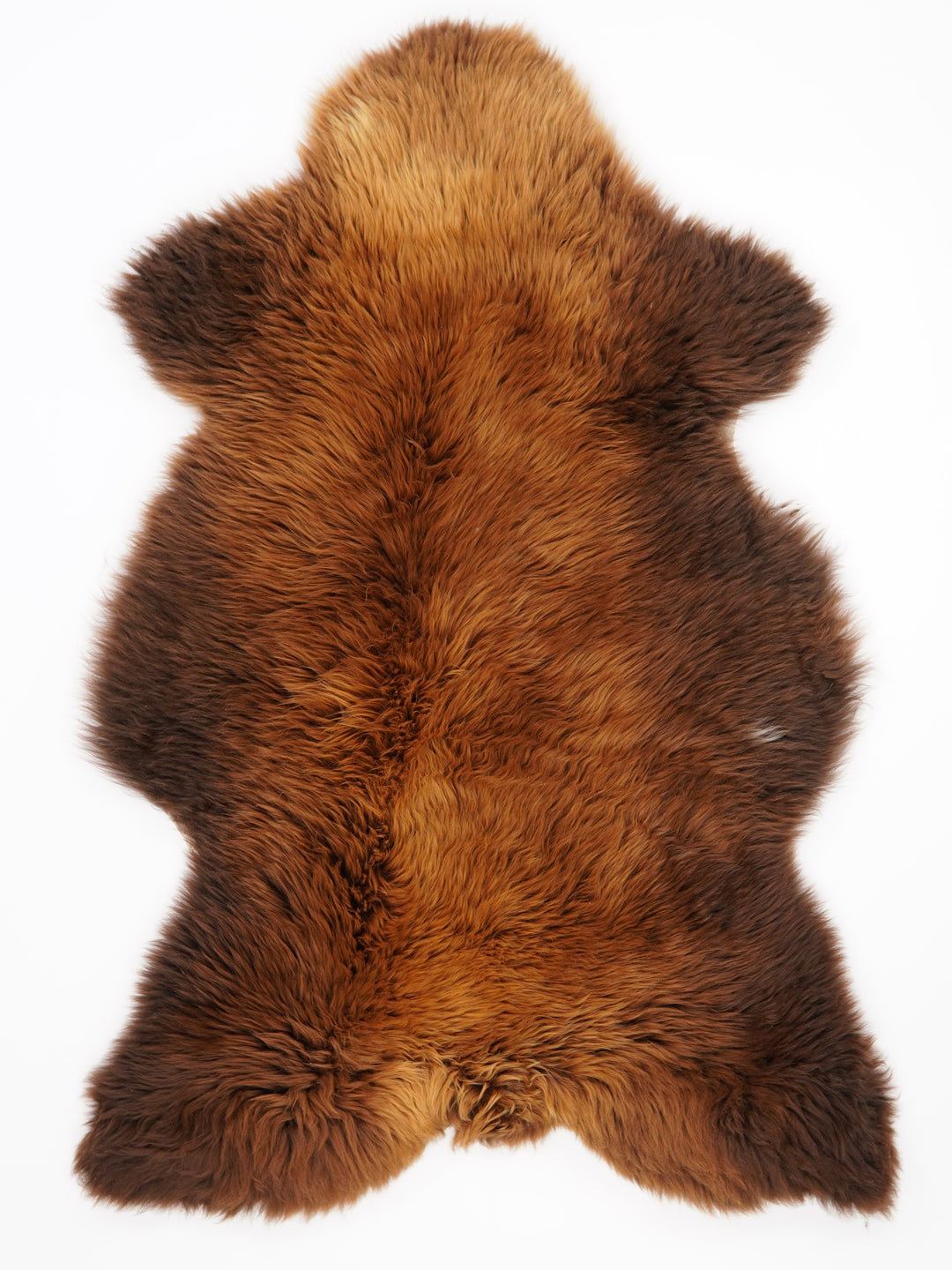 Rudas avikailis "Rusty" XL