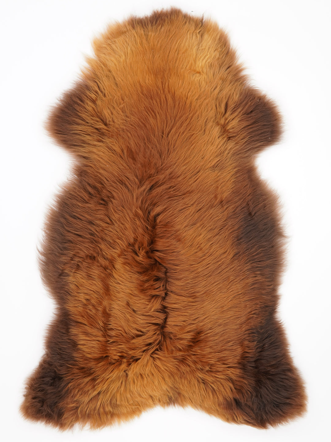 Rudas avikailis "Rusty" XL