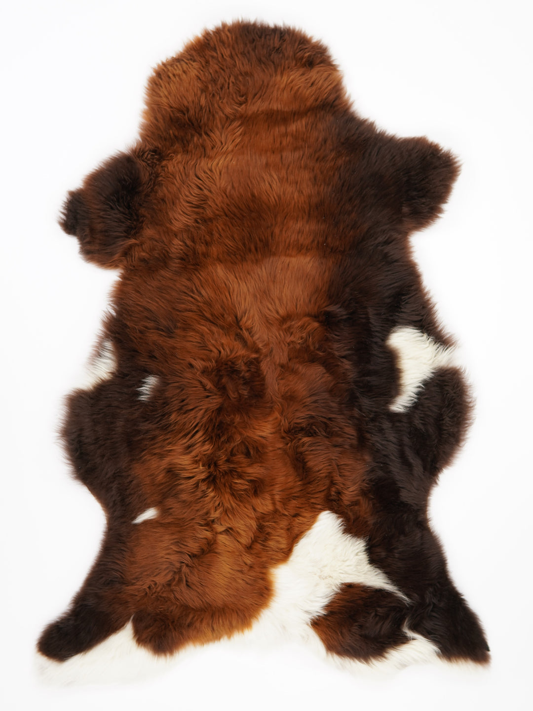 Rudas avikailis "Rusty" XL