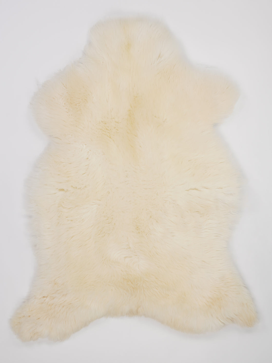 Skandinaviškas baltas avikailis XL