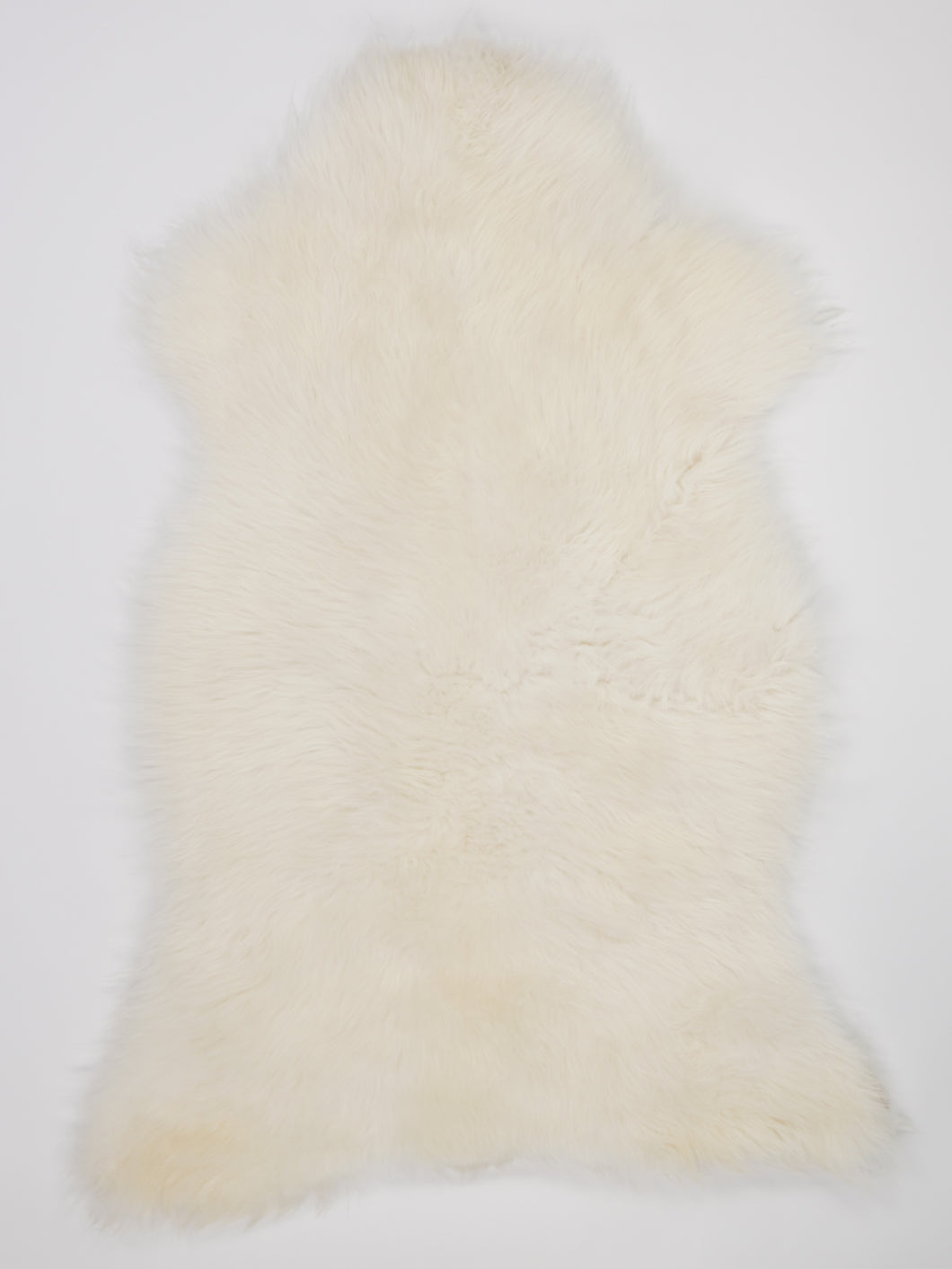 Skandinaviškas baltas avikailis XL