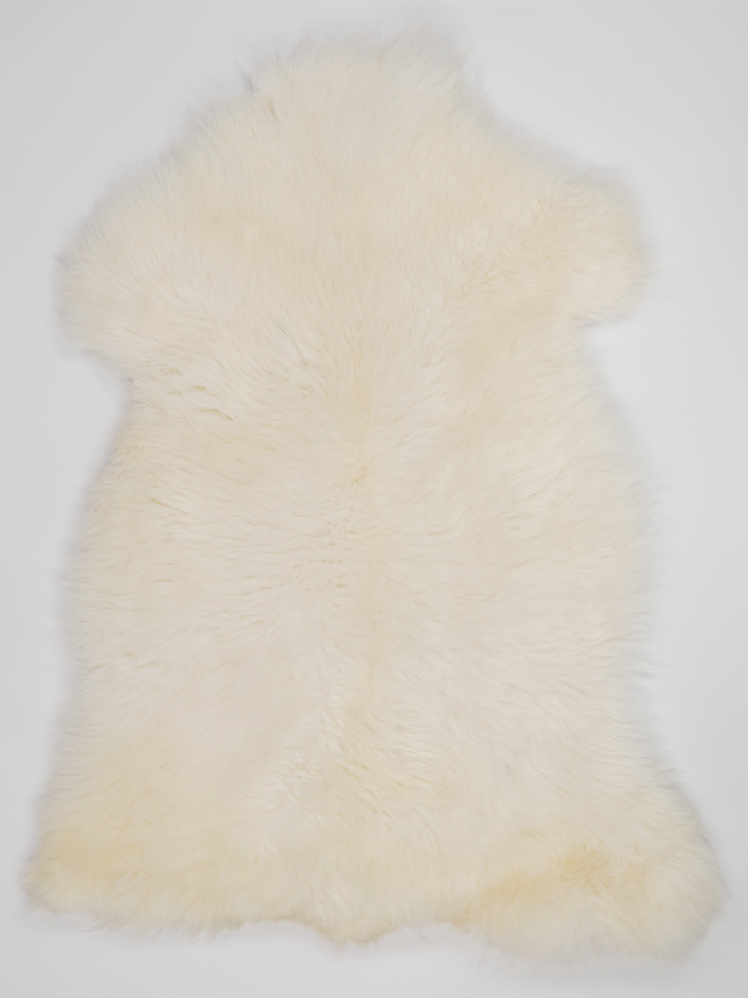 Skandinaviškas baltas avikailis XL