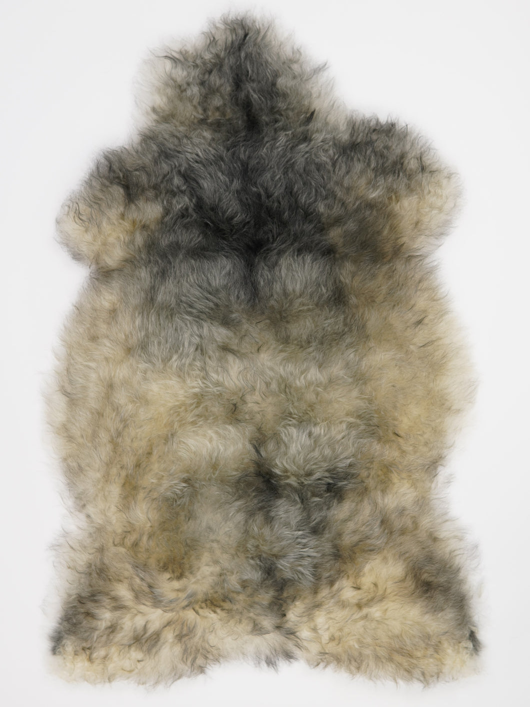 Įvairiaspalvis avikailis XL