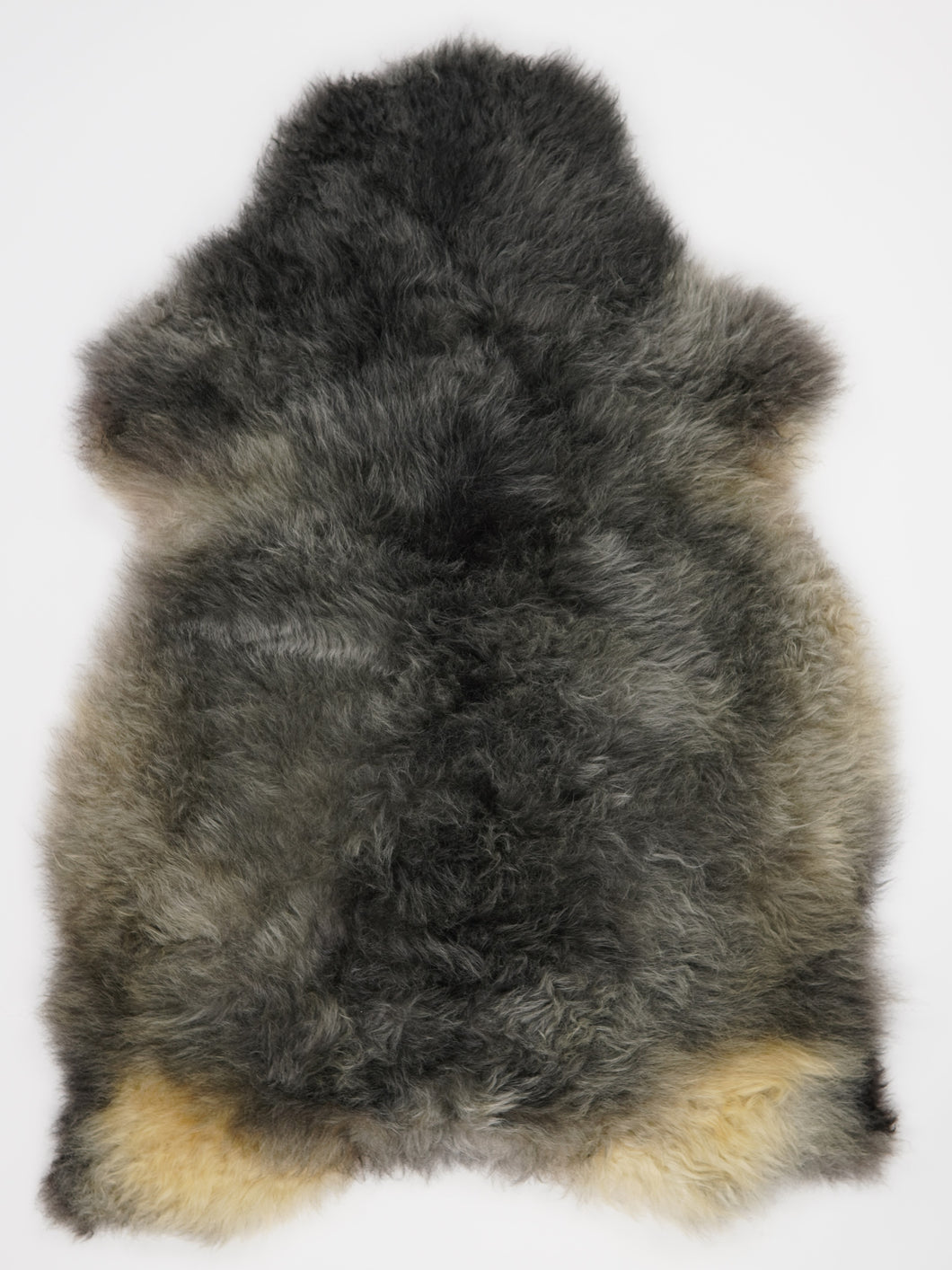 Įvairiaspalvis avikailis XL