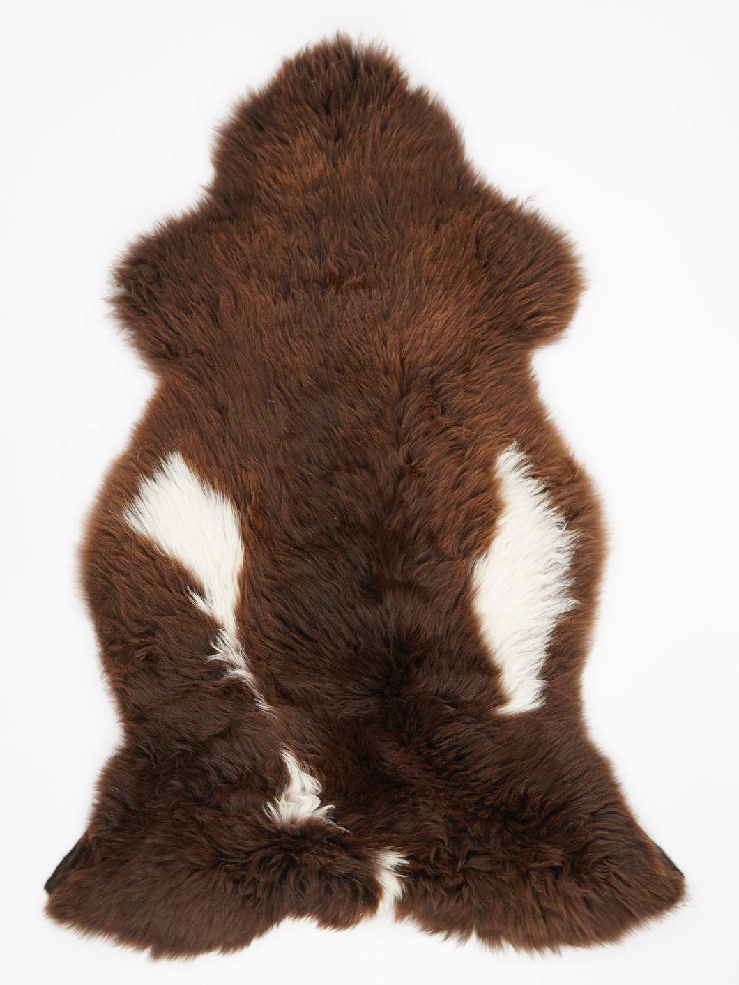 Įvairiaspalvis avikailis XXL