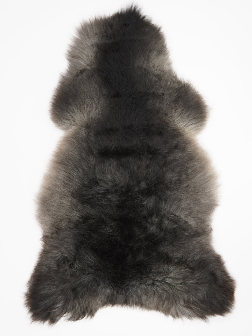 Įvairiaspalvis avikailis XXL