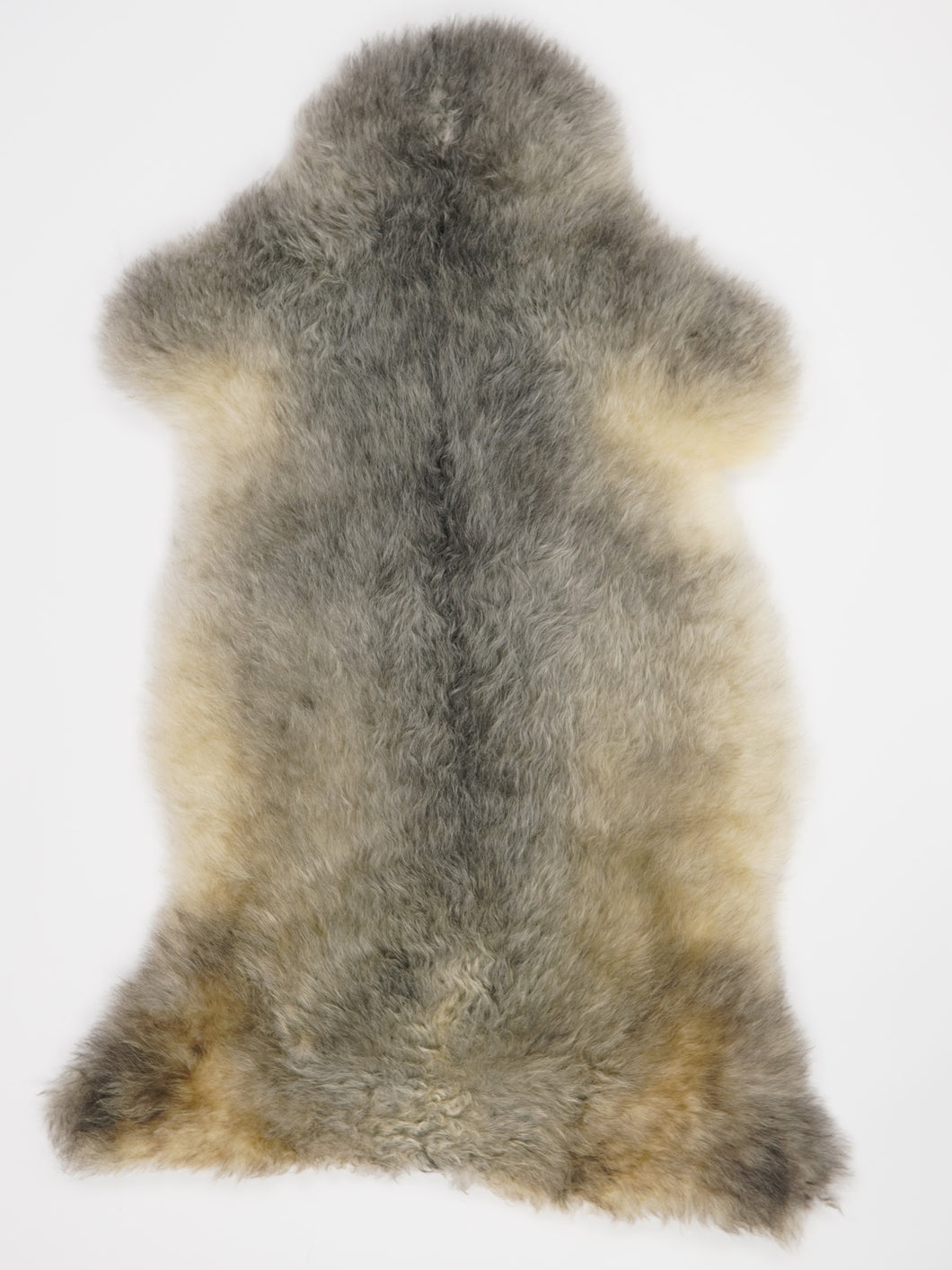 Įvairiaspalvis avikailis XL