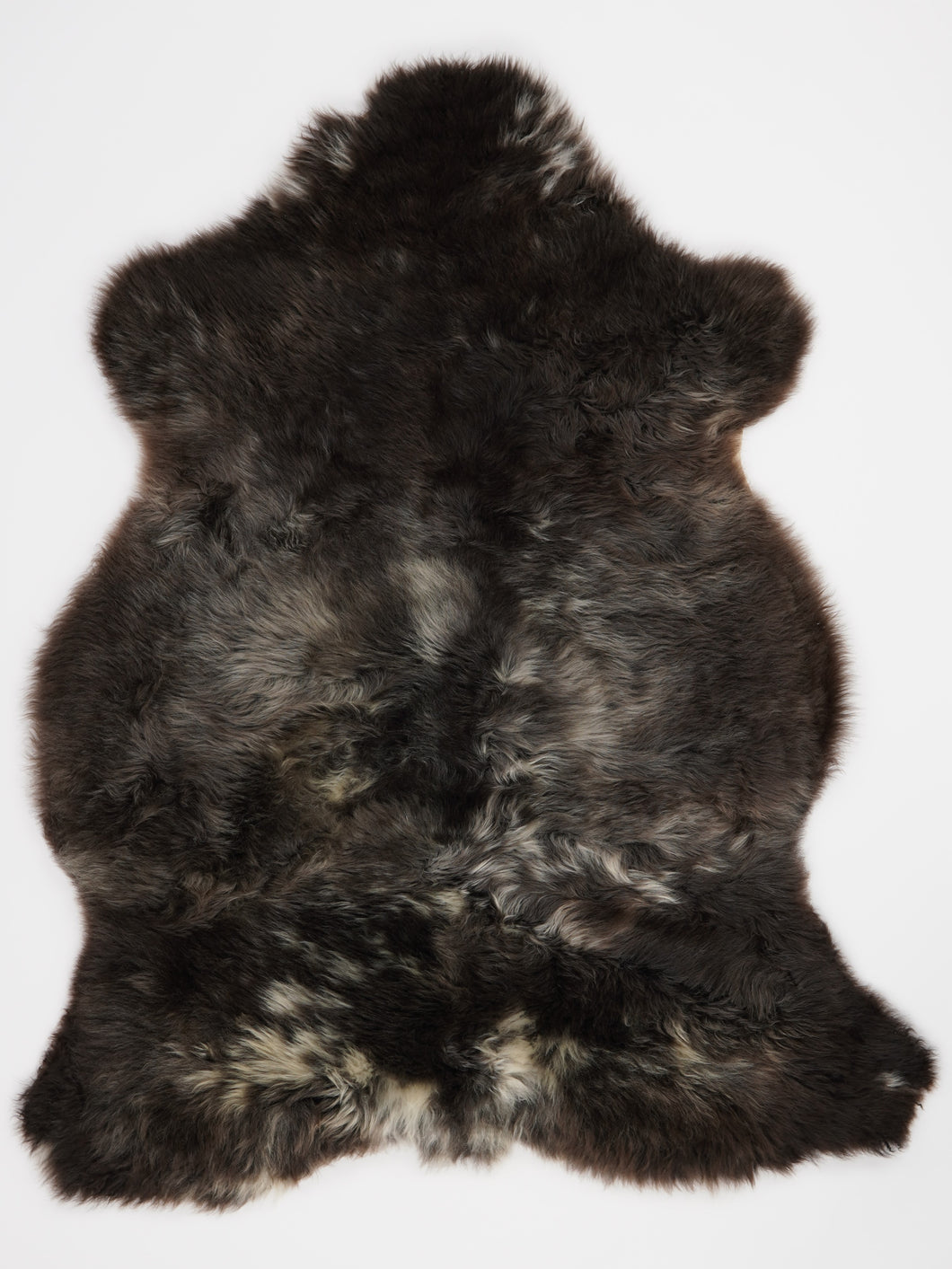 Įvairiaspalvis avikailis L