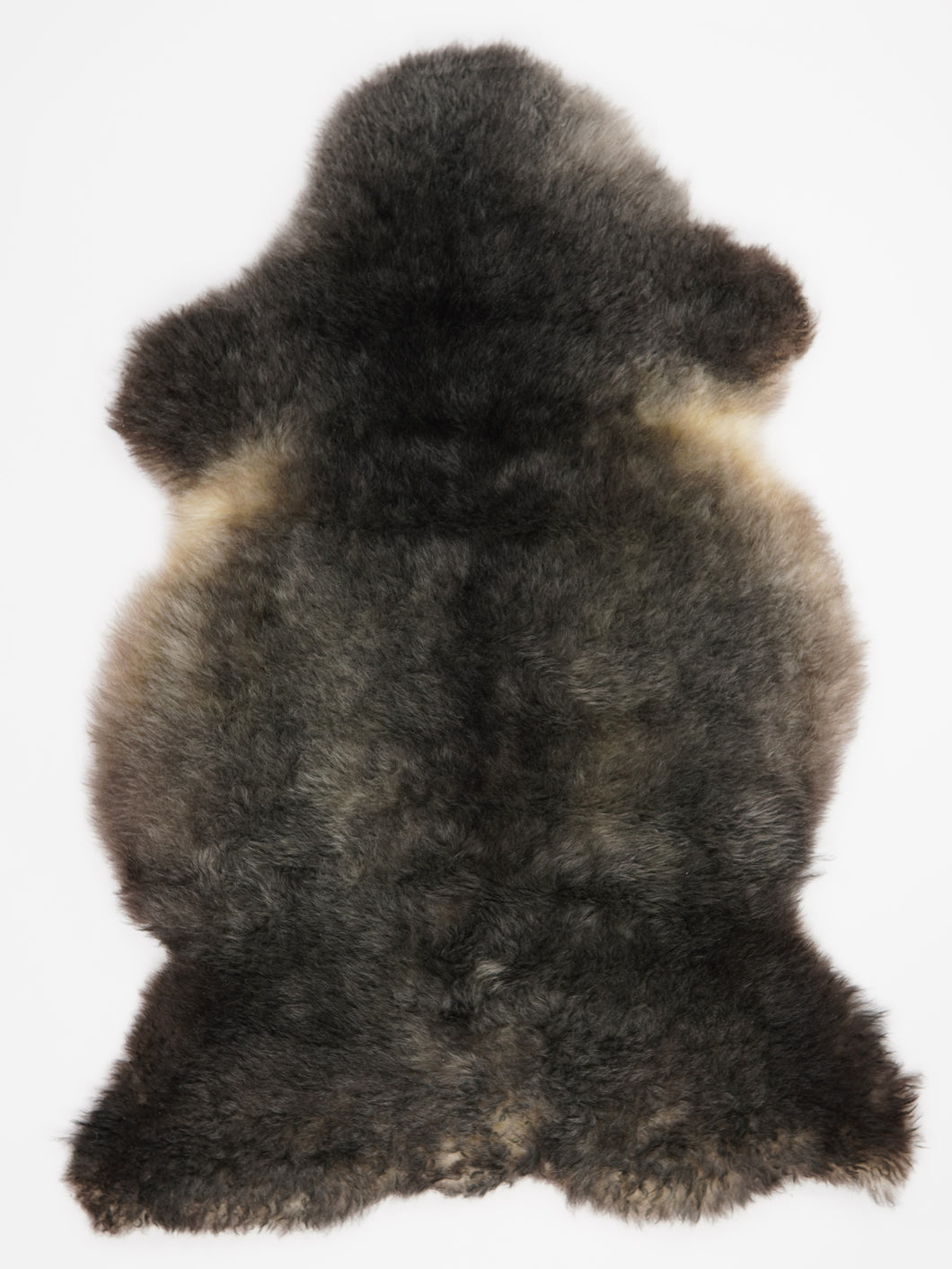 Įvairiaspalvis avikailis XL