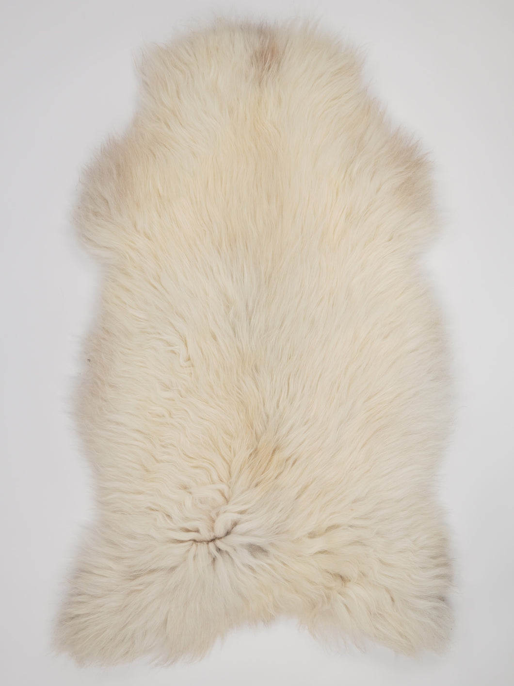 Įvairiaspalvis avikailis XXL