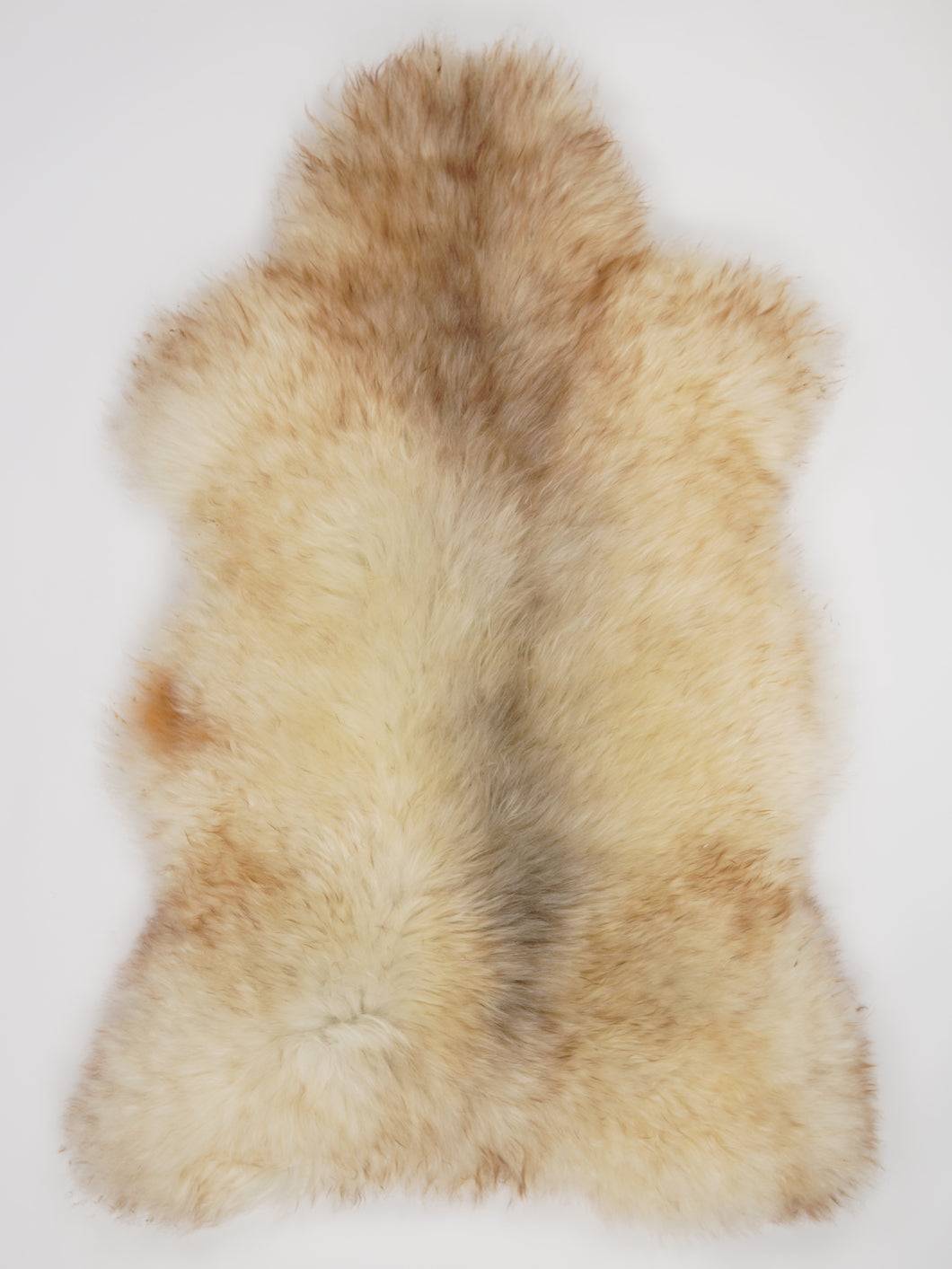 Įvairiaspalvis avikailis XXL