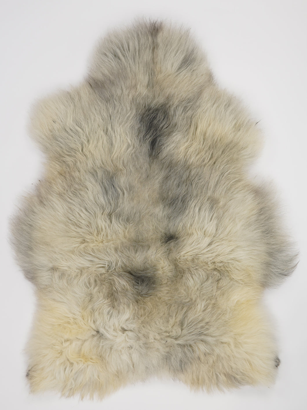 Įvairiaspalvis avikailis XL