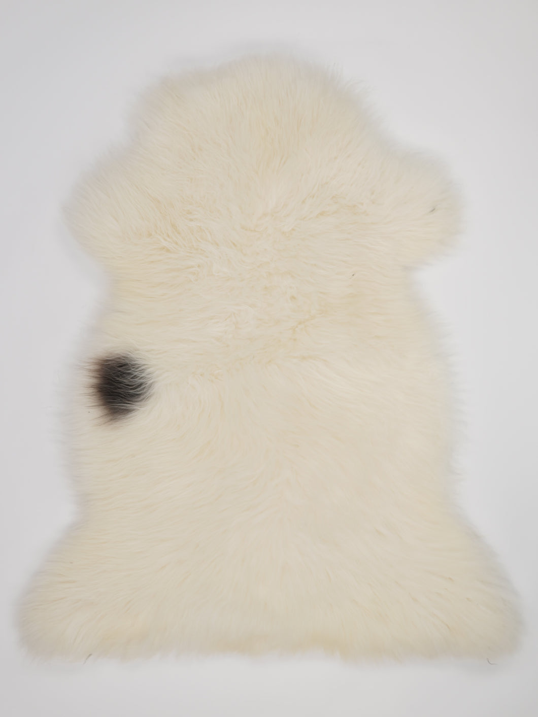 Įvairiaspalvis avikailis XL