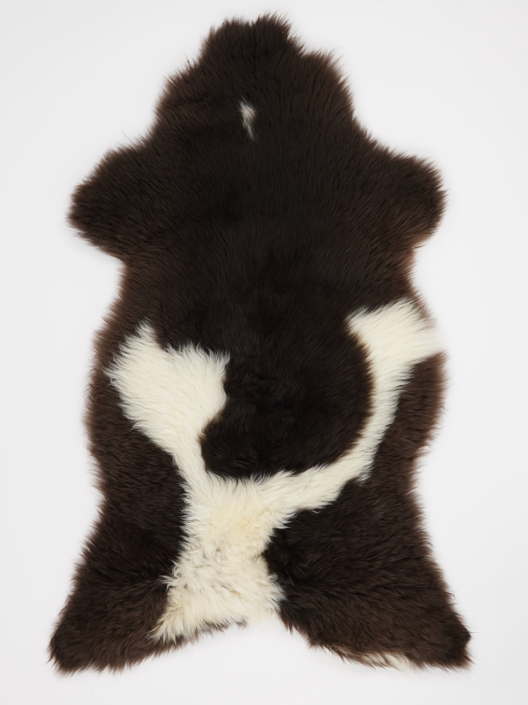 Įvairiaspalvis avikailis XL