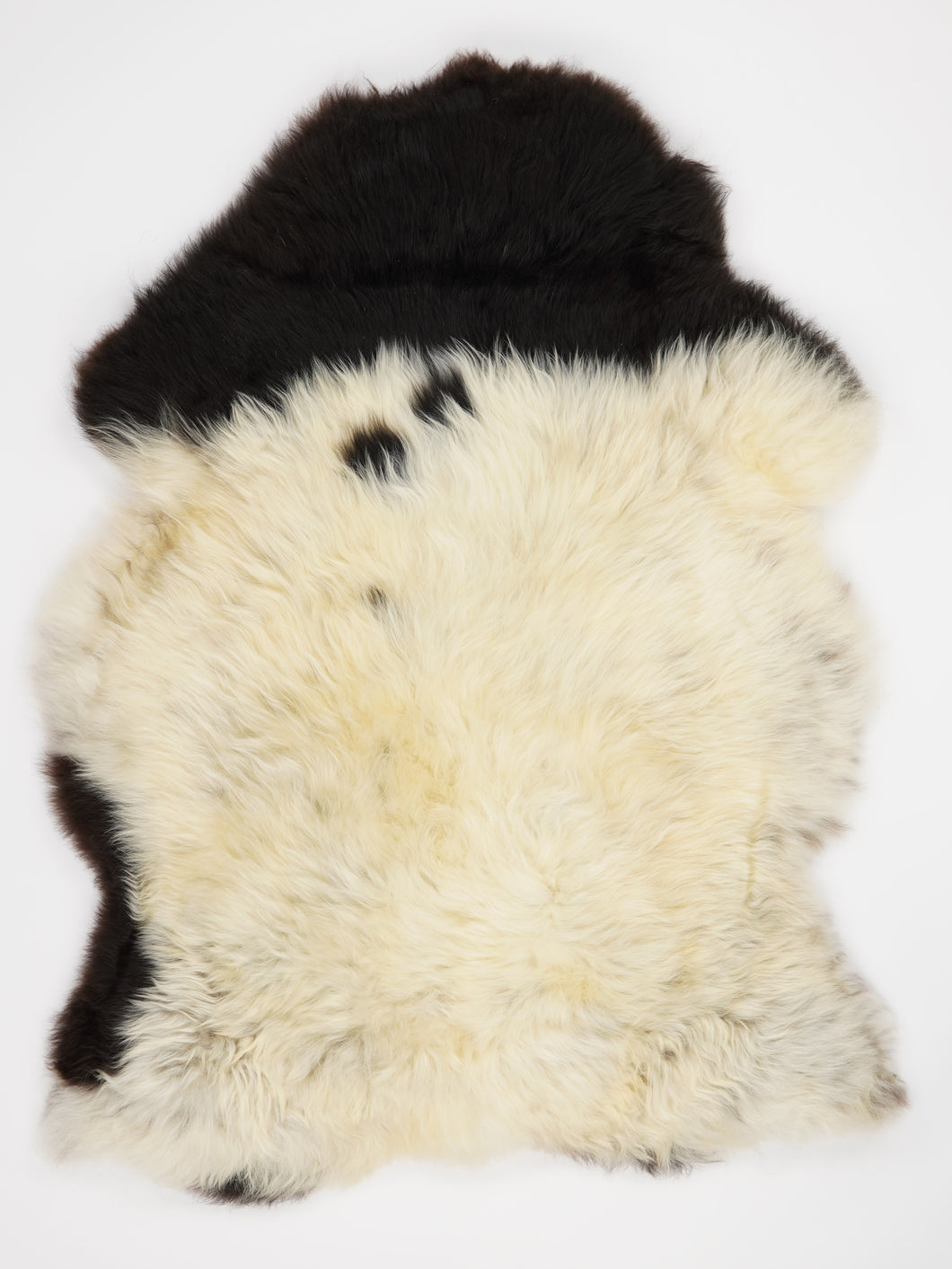 Įvairiaspalvis avikailis XL