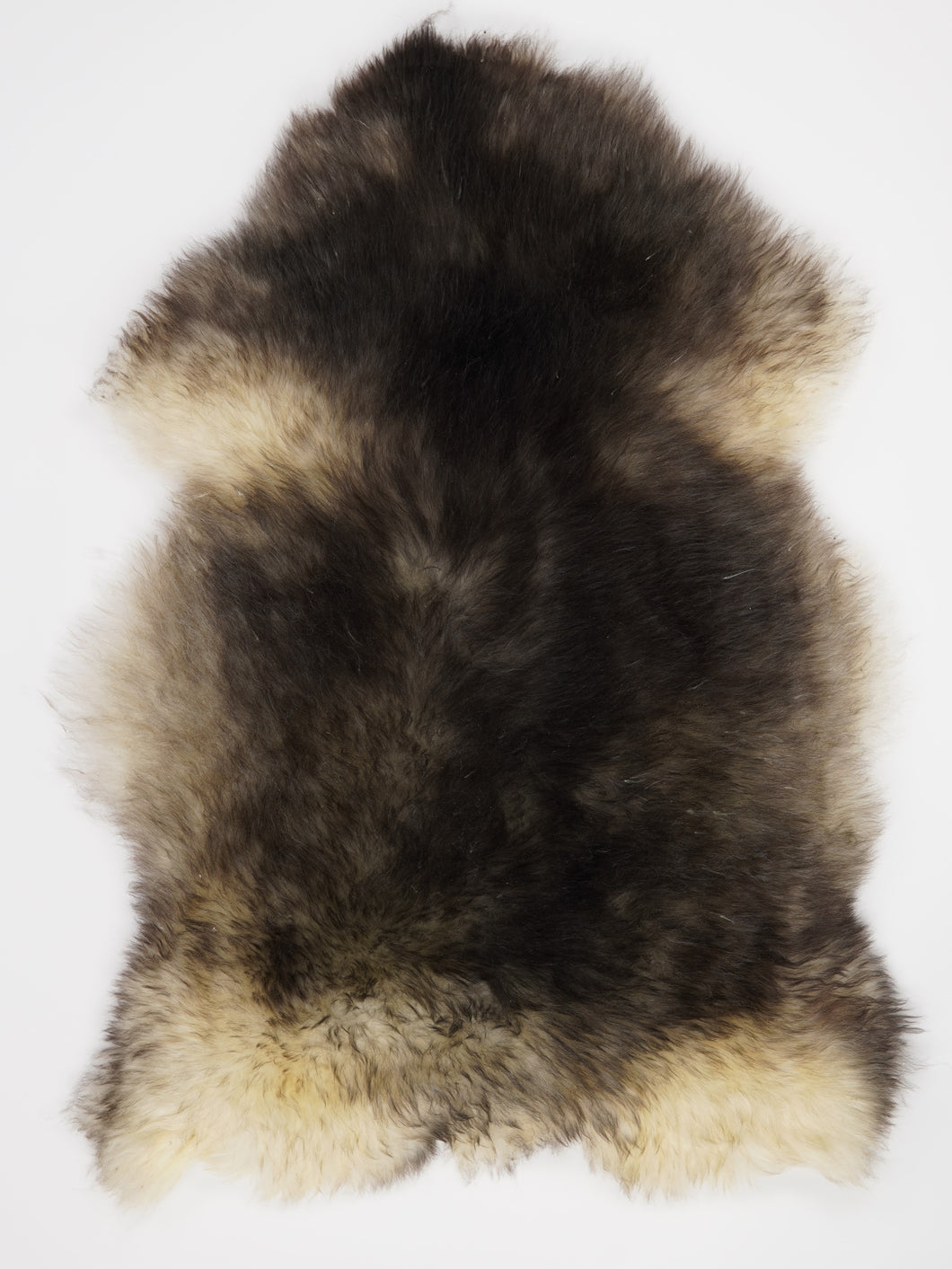 Įvairiaspalvis avikailis XL