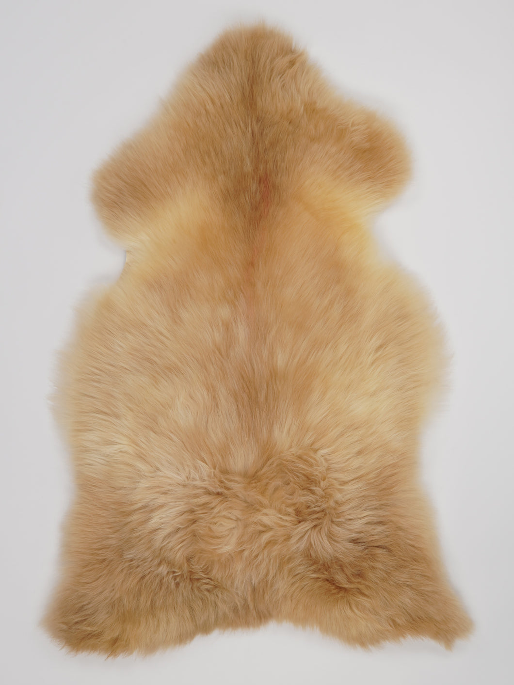 Įvairiaspalvis avikailis L