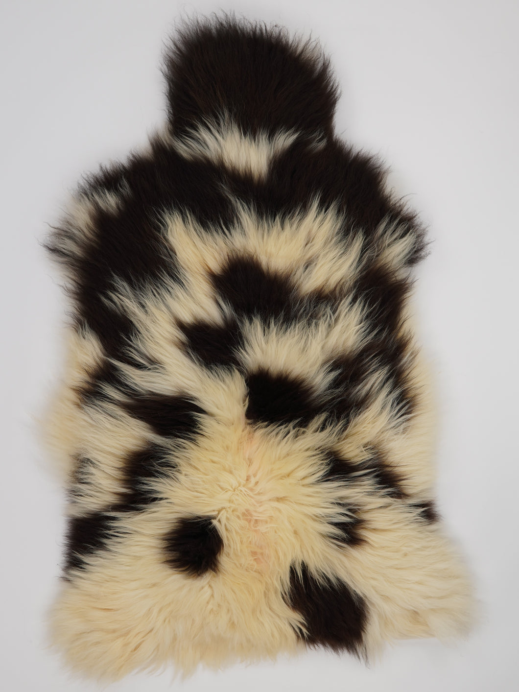 Įvairiaspalvis avikailis XXL