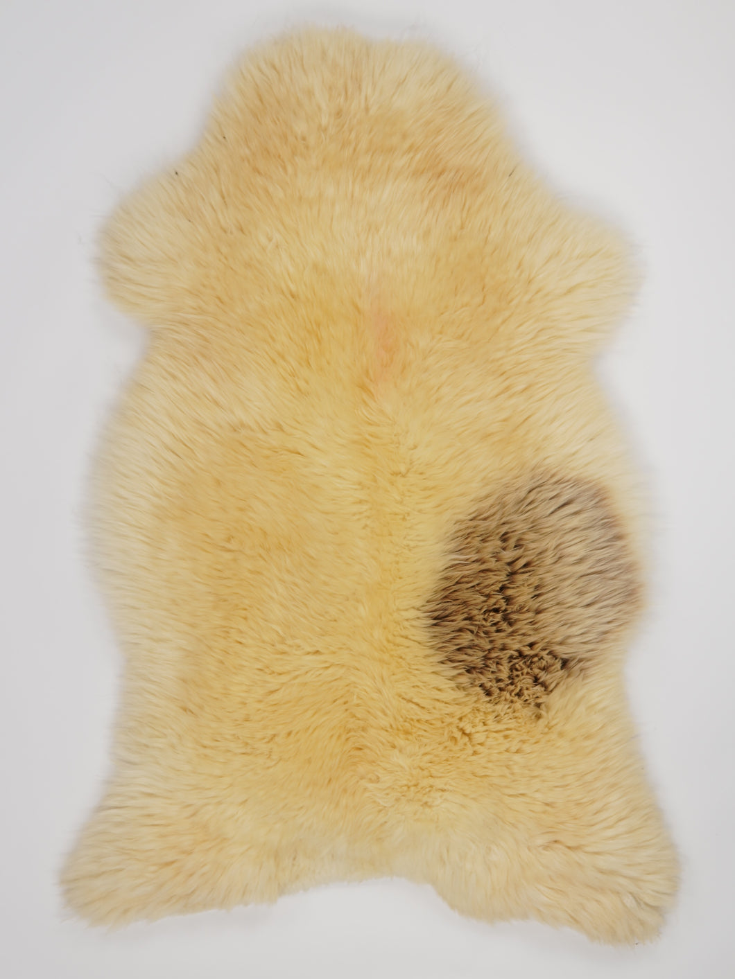 Įvairiaspalvis avikailis XL