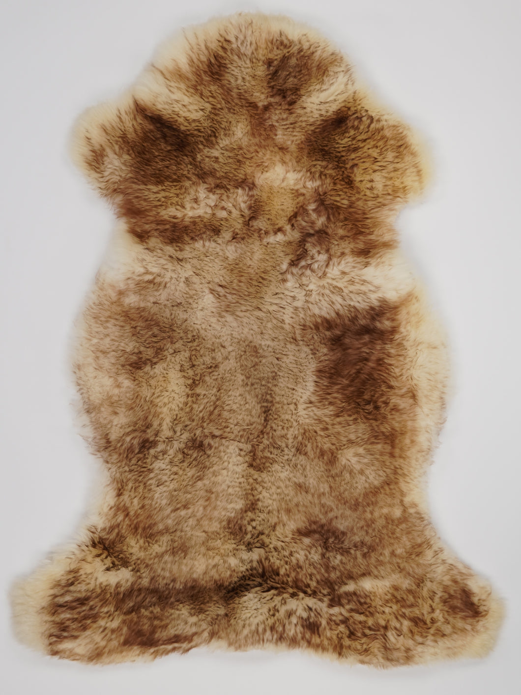 Muflono avikailis XL