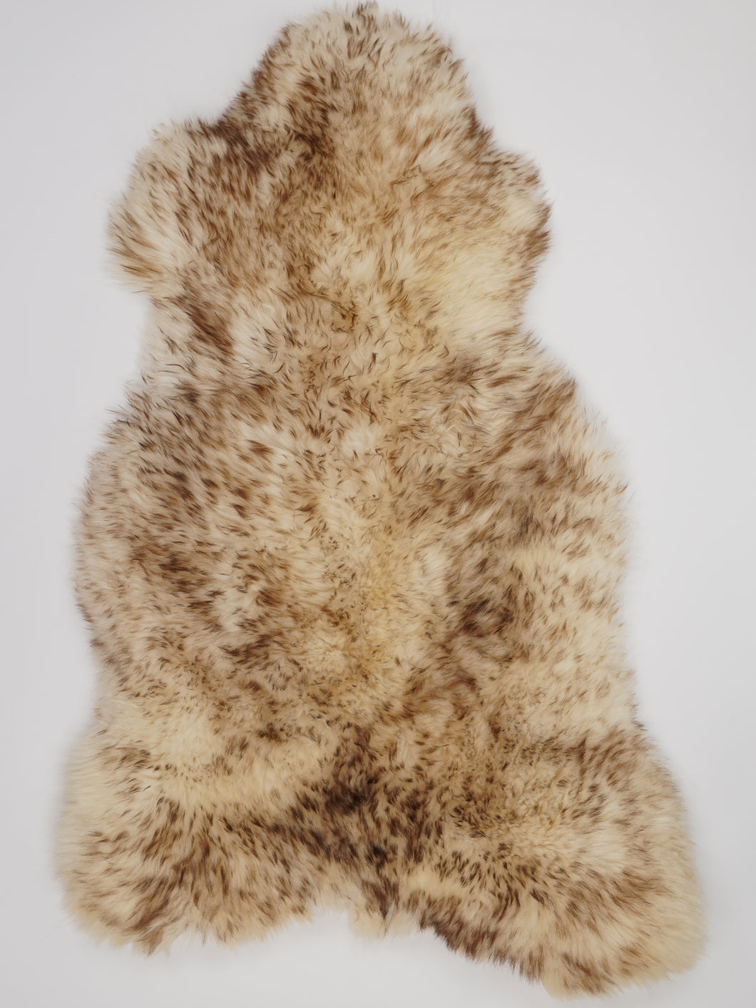 Muflono avikailis XXL