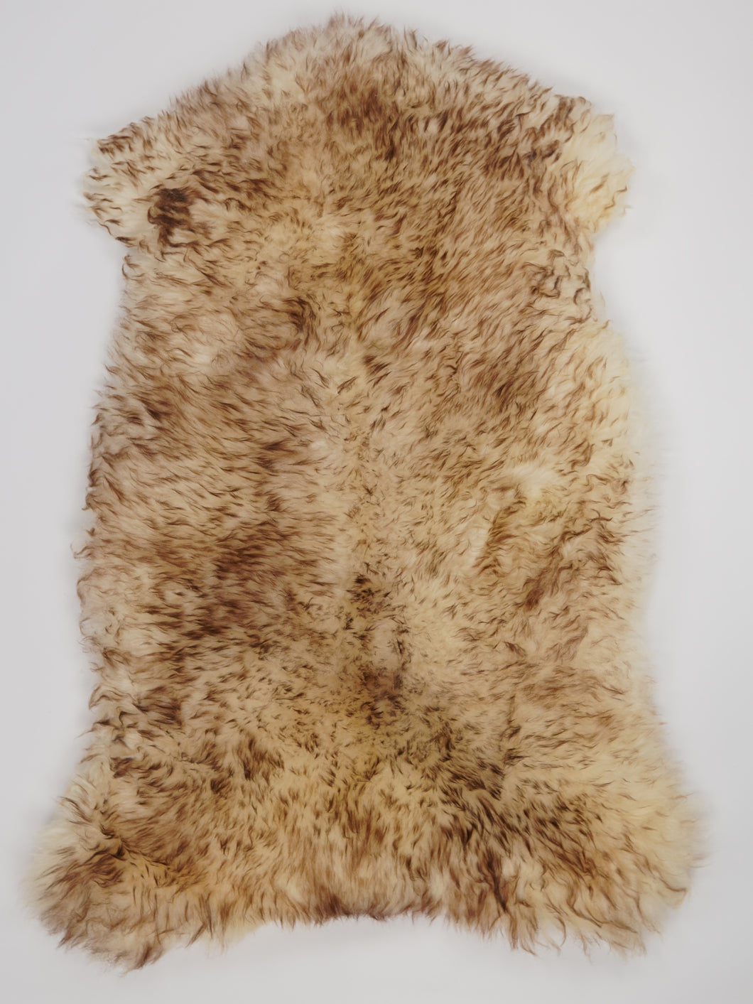 Muflono avikailis XL