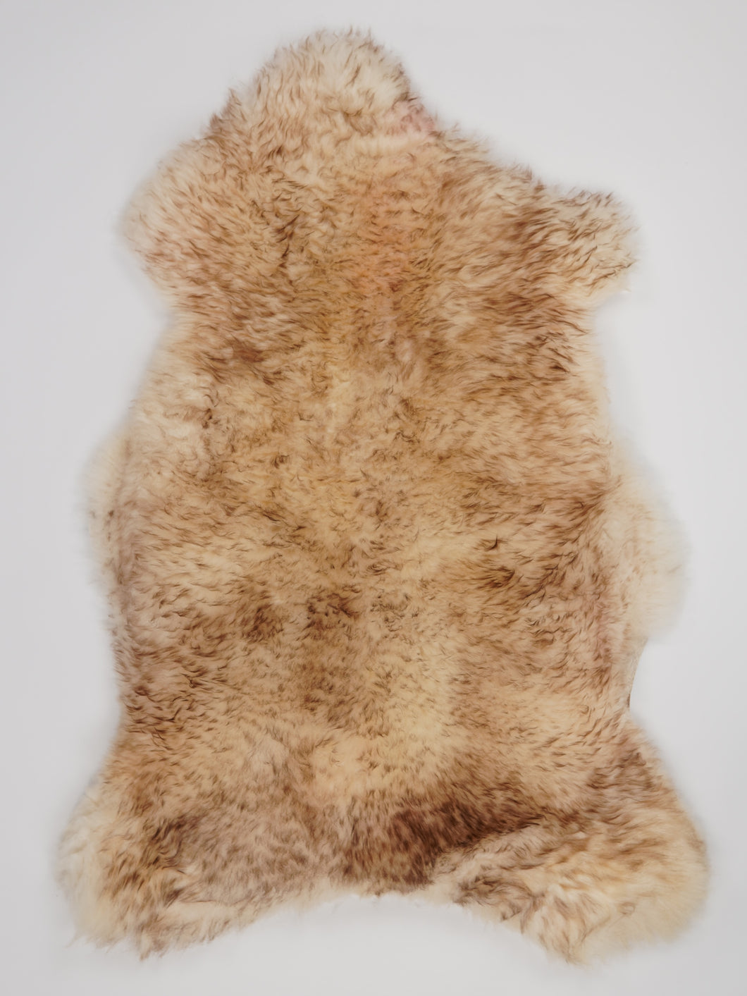 Muflono avikailis XL