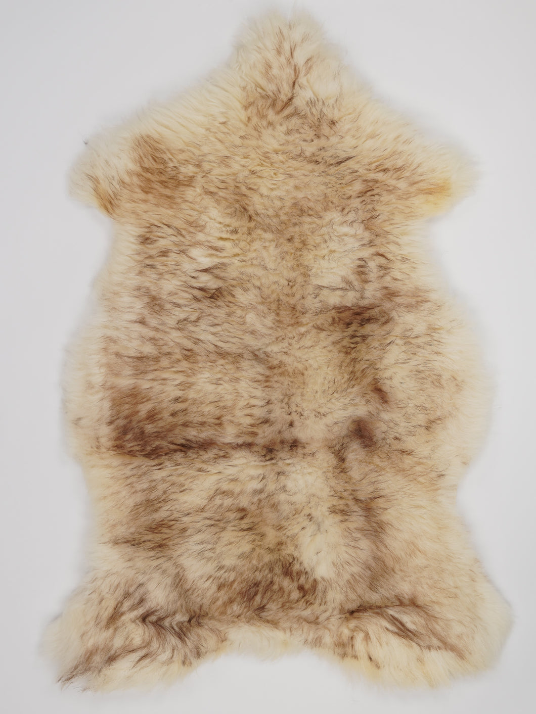 Muflono avikailis XL