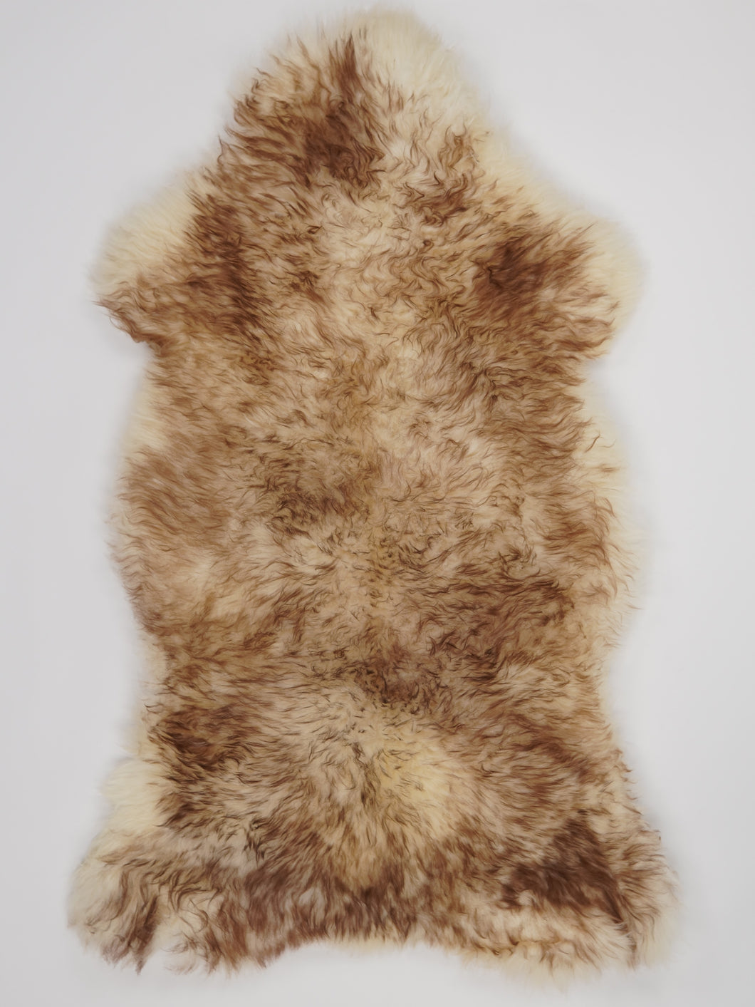 Muflono avikailis XL