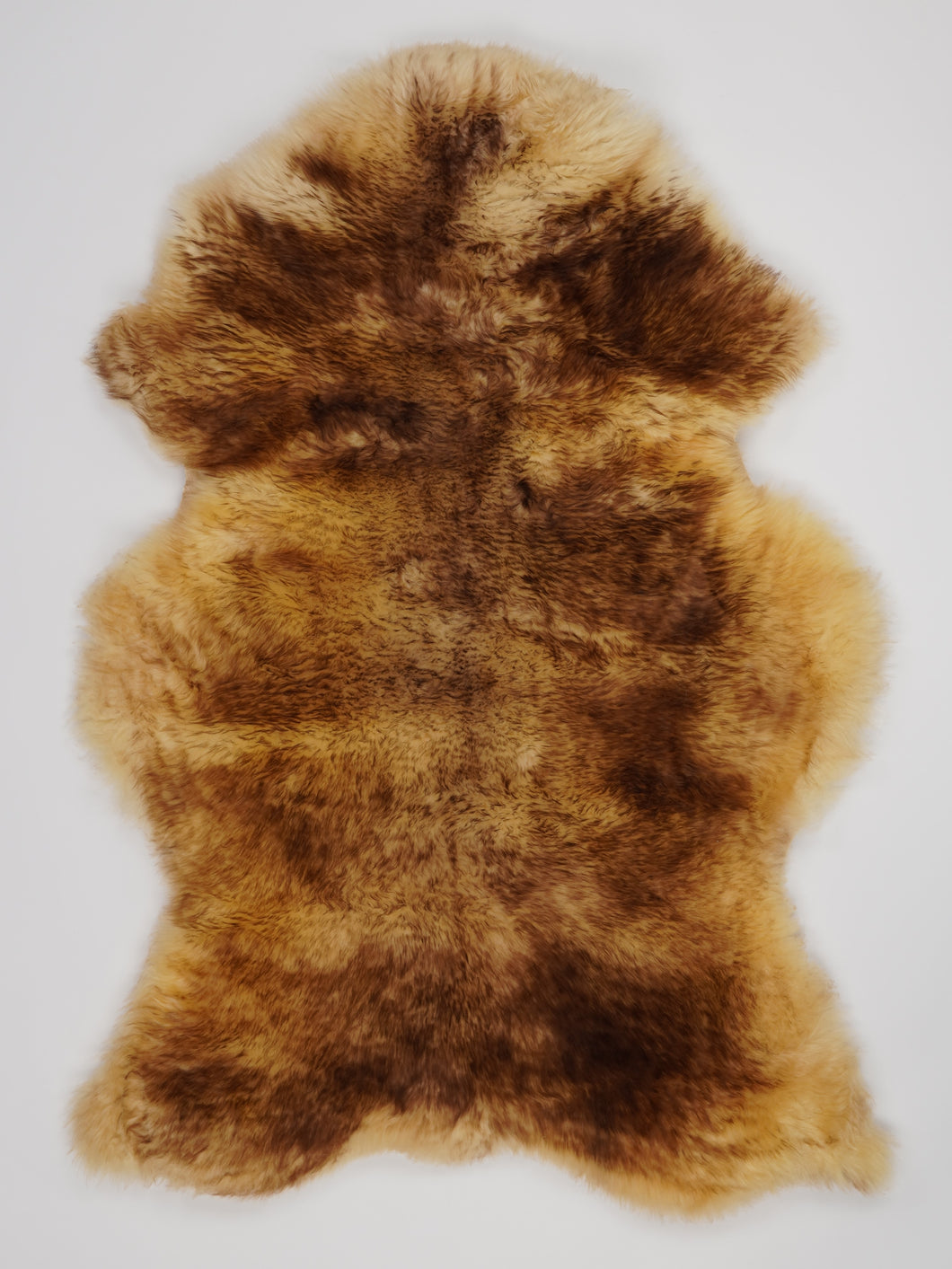 Muflono avikailis XL