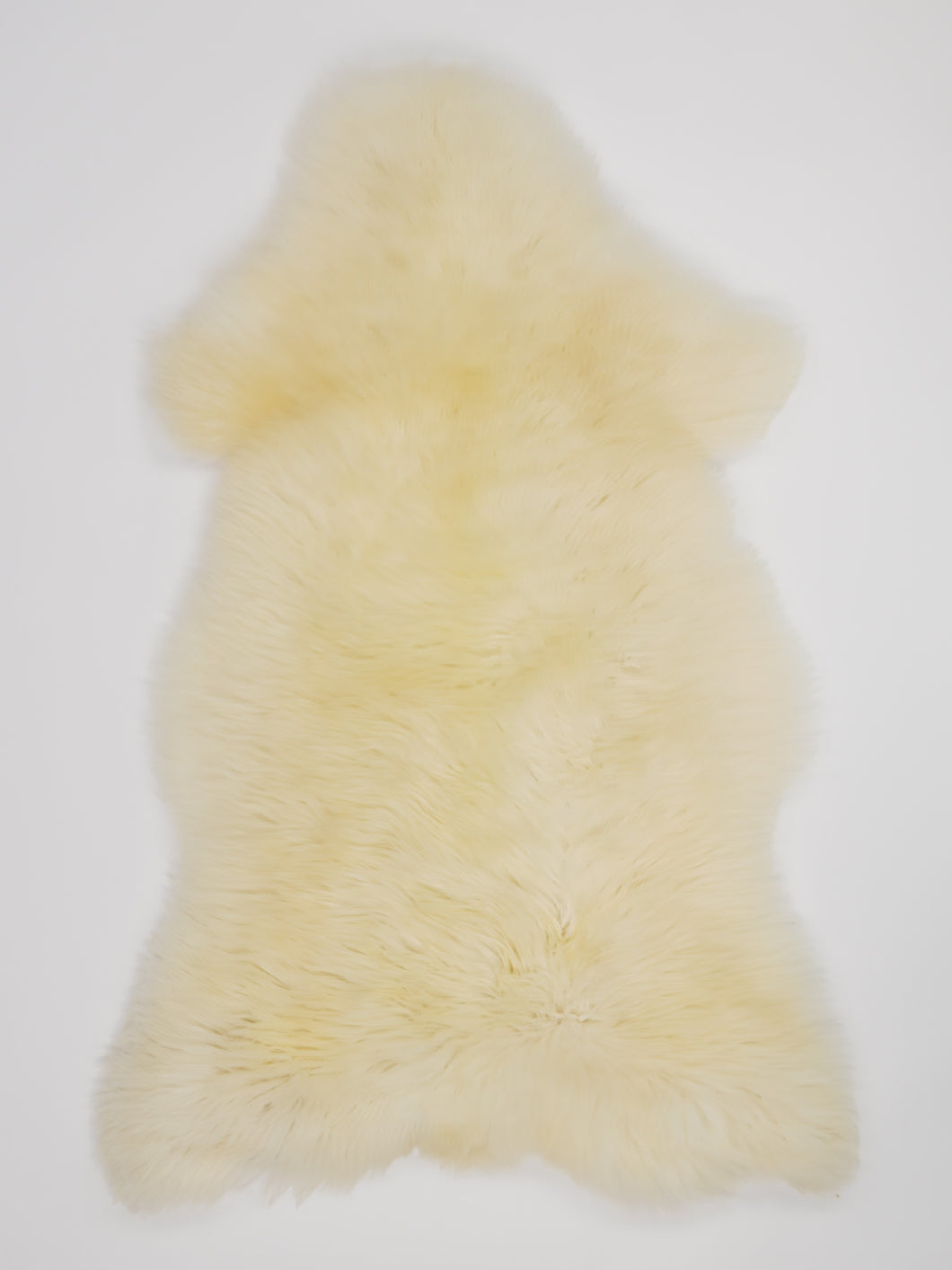 Bílá ovčí kůže XL