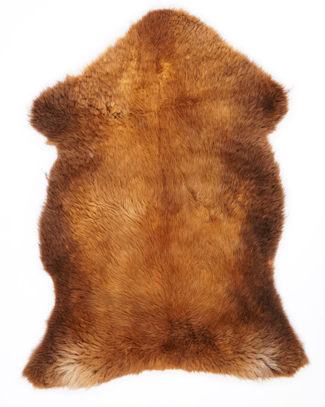 Třídy B+ ovčí kůže "Rusty" M