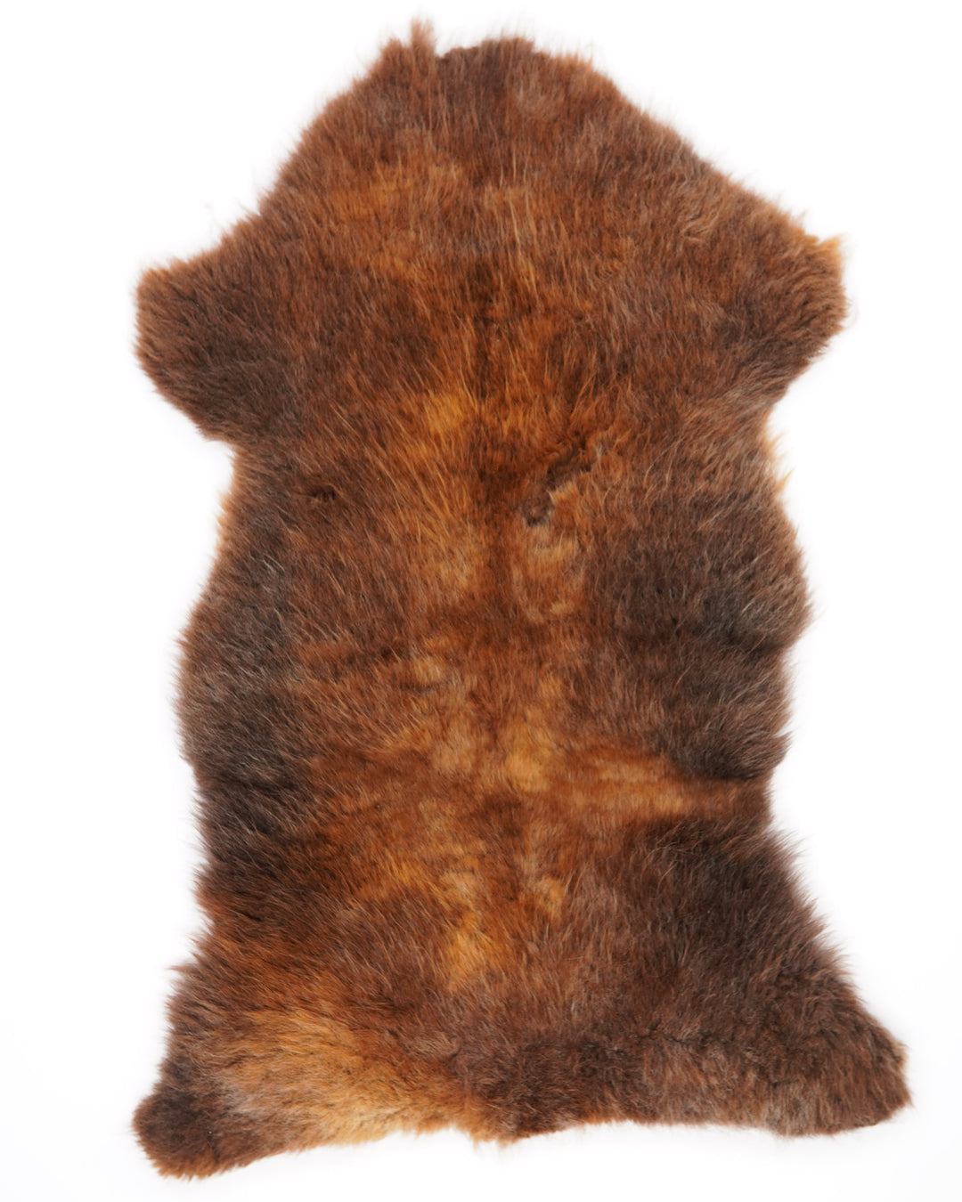Třídy B ovčí kůže "Rusty" XL