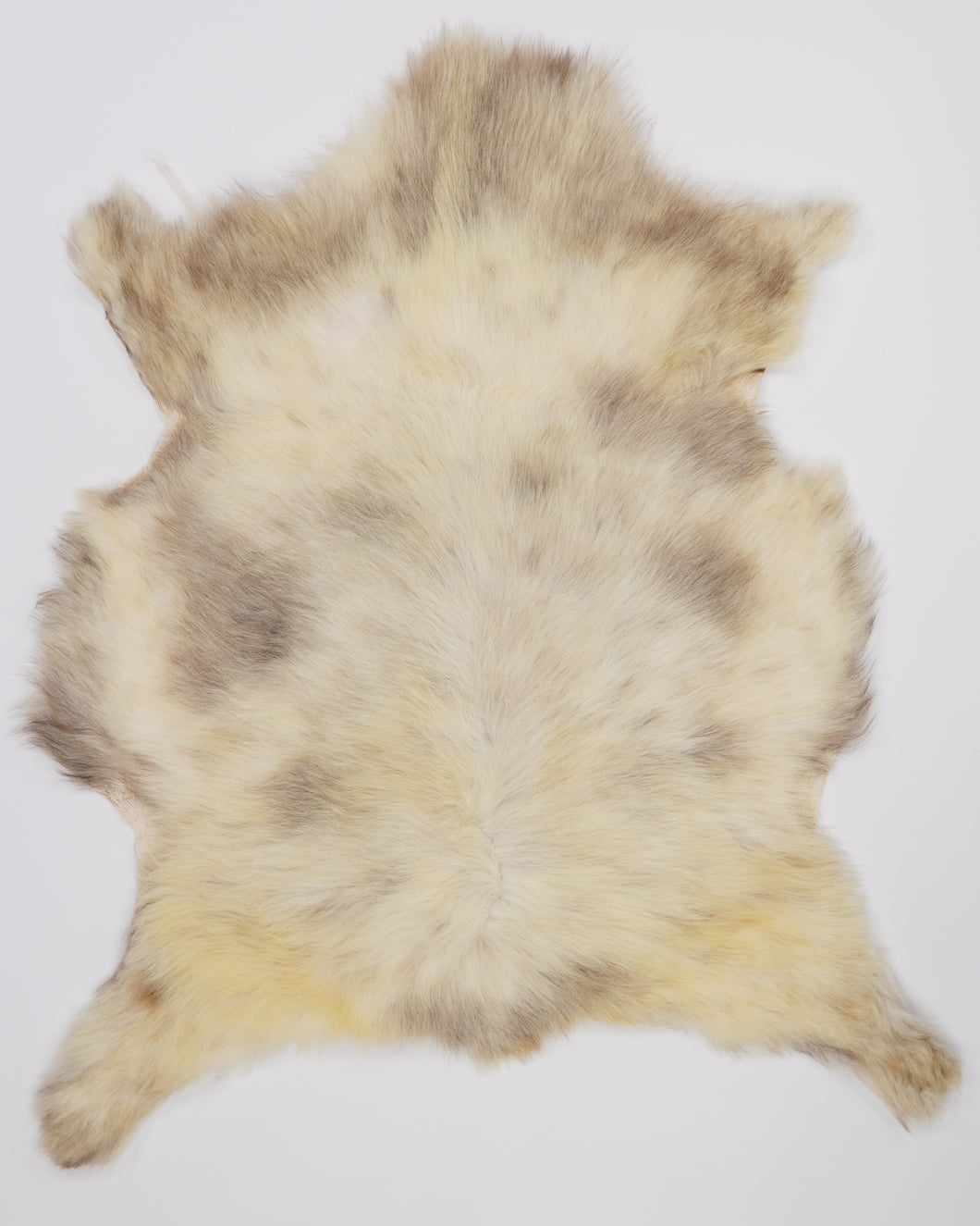 B klasės Vícebarevná ovčí kůže M