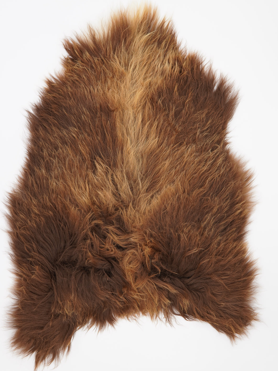 Islandská ovčí kůže XXL