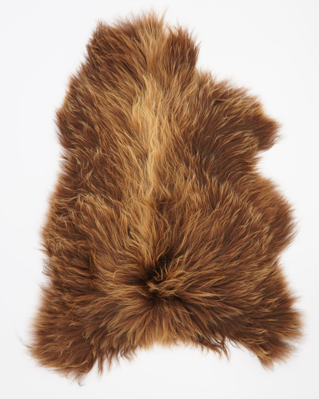 Islandiškas avikailis XXL