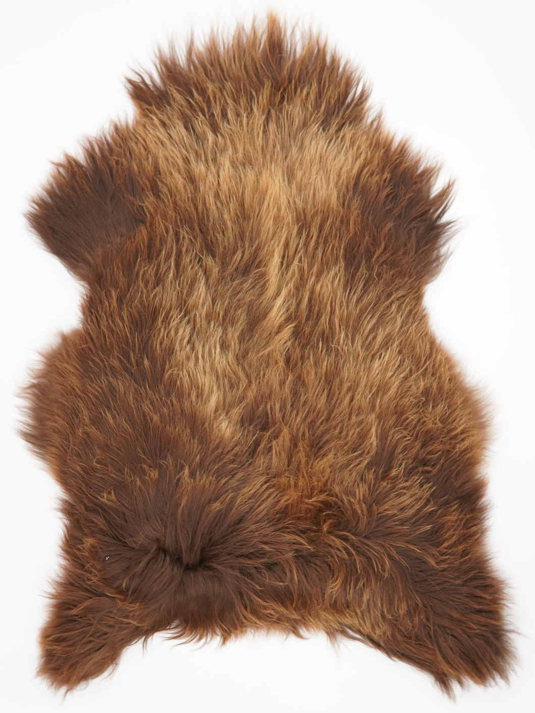 Islandská ovčí kůže XXL