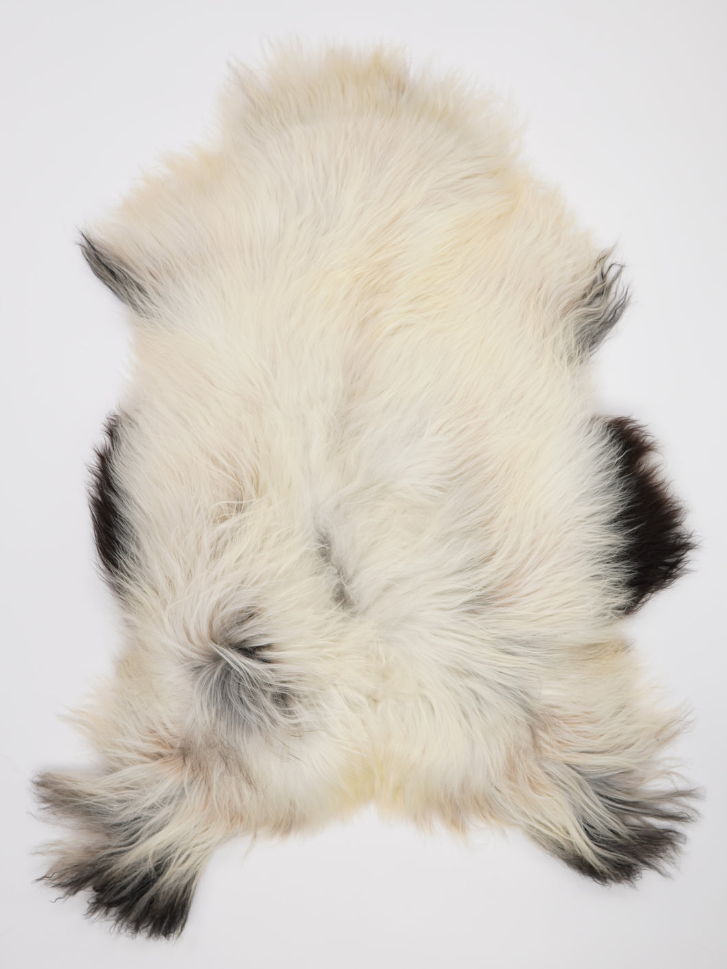 Islandská ovčí kůže XXL