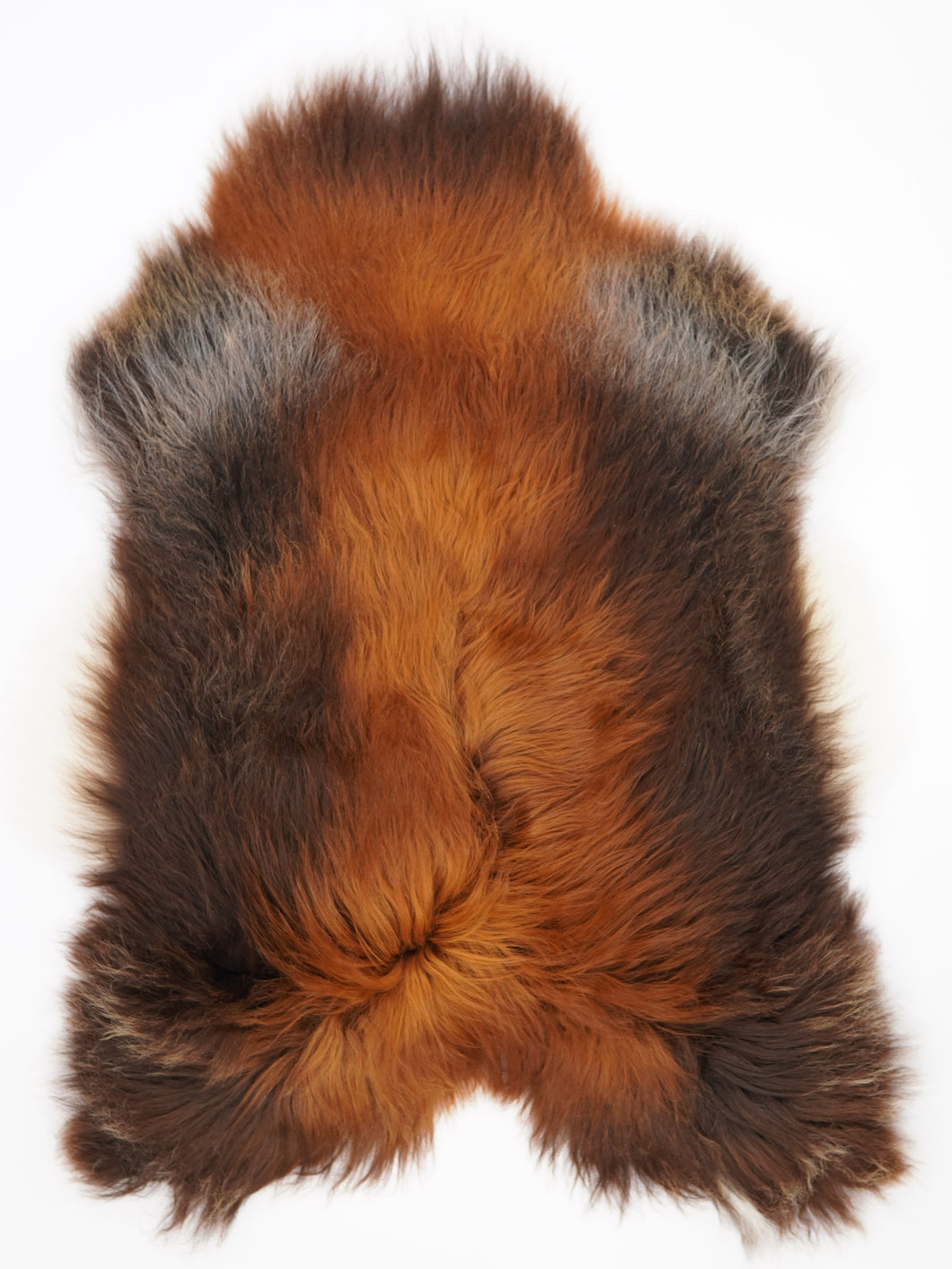 Islandská ovčí kůže „Rusty“ XXL