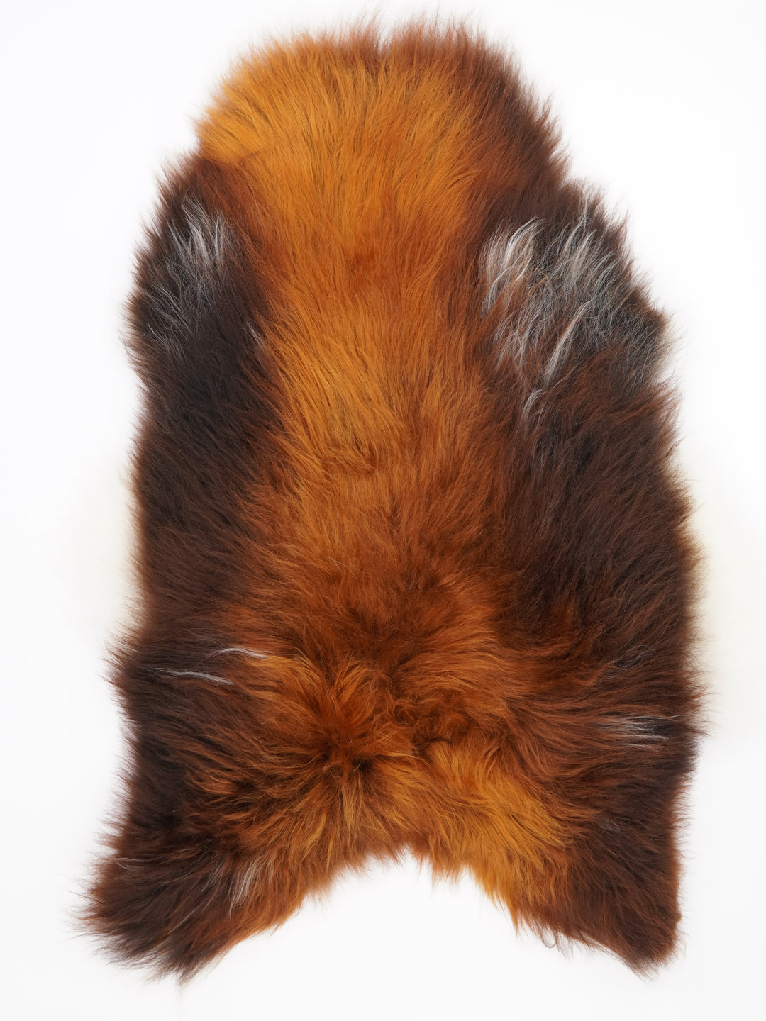 Islandská ovčí kůže "Rusty" XL